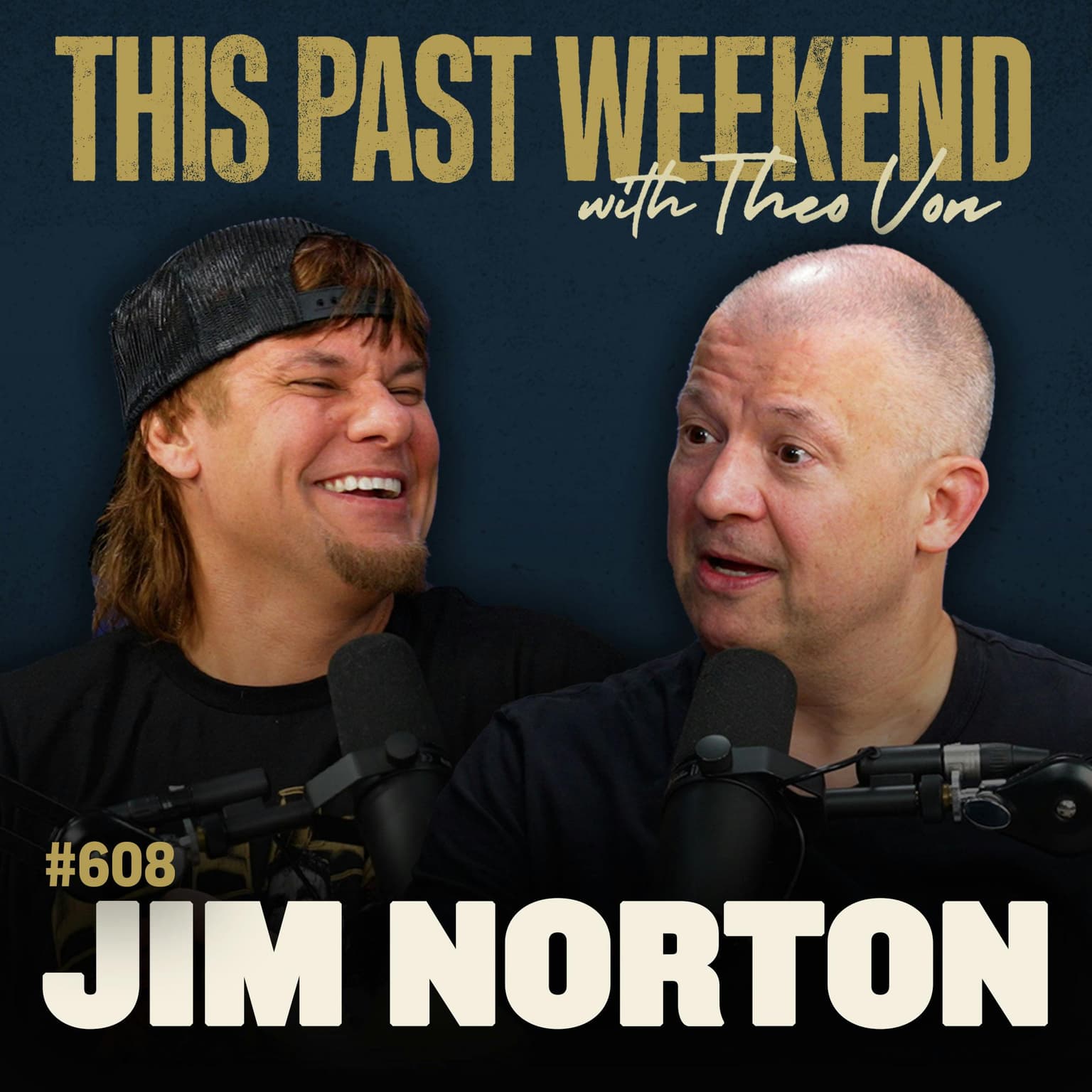 #608 - Jim Norton artwork