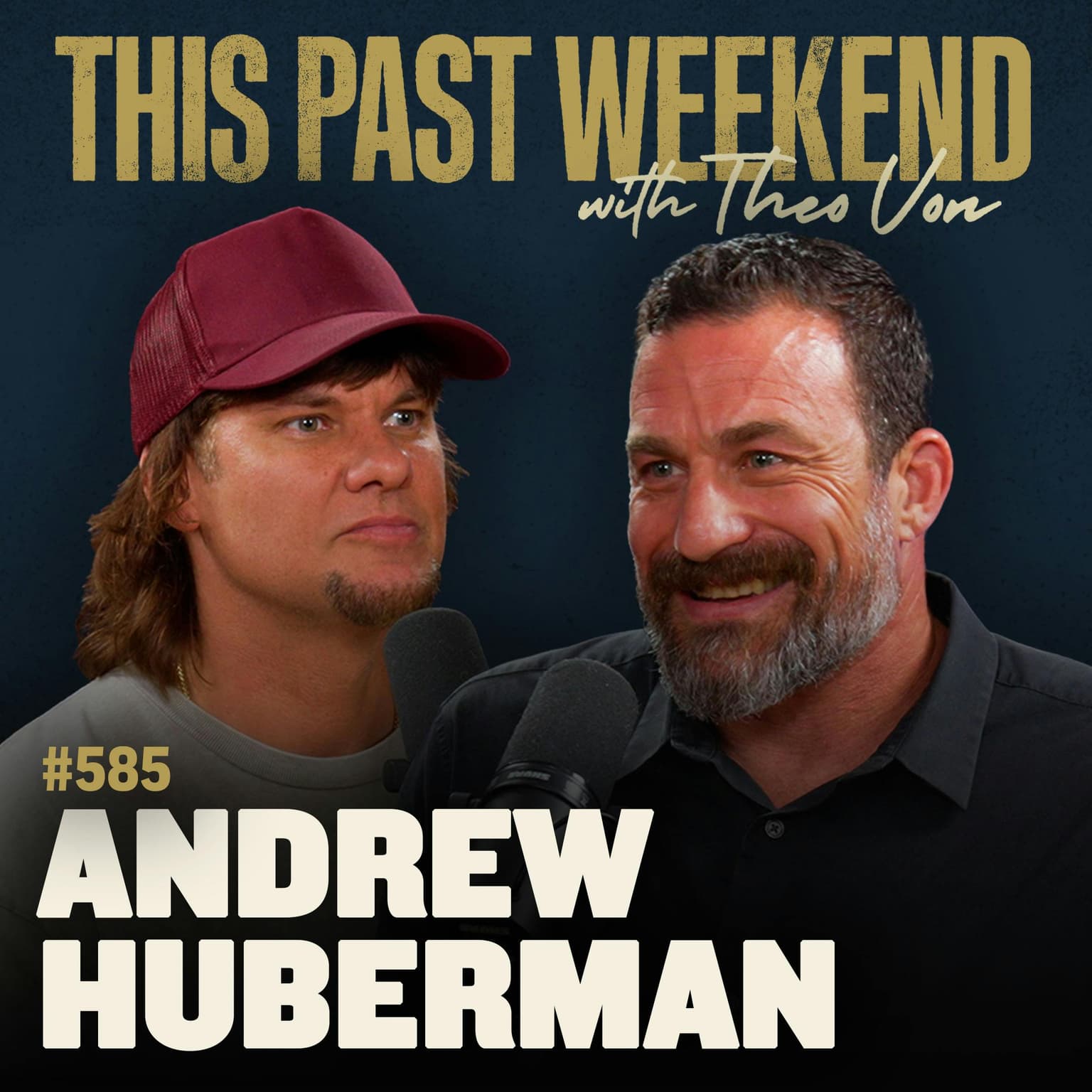 #585 - Andrew Huberman artwork
