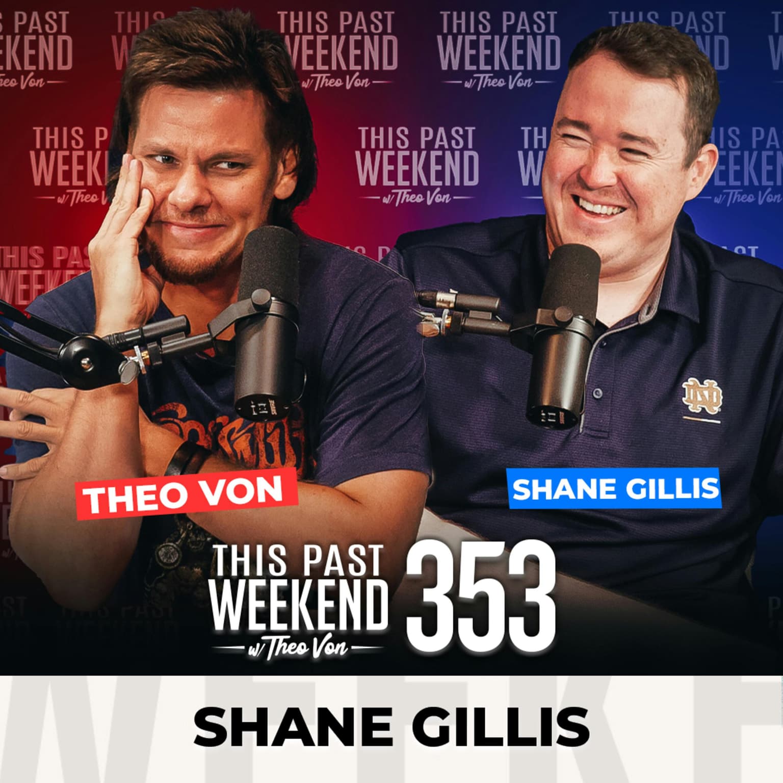 E353 Shane Gillis artwork