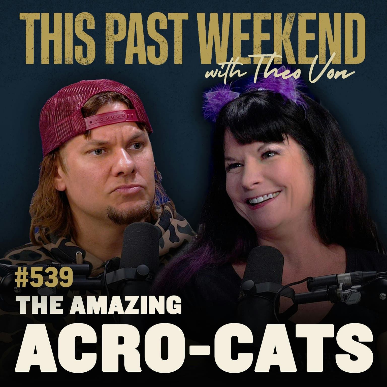 E539 The Amazing Acro-Cats artwork