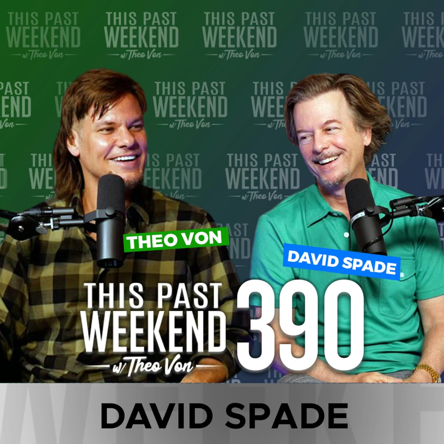 E390 David Spade artwork