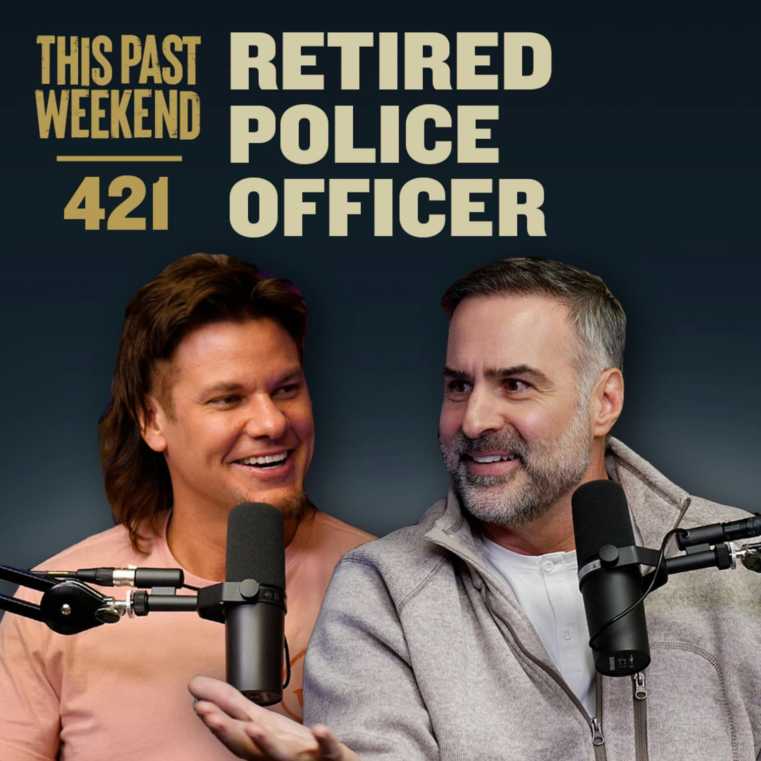 E421 Retired Police Officer artwork
