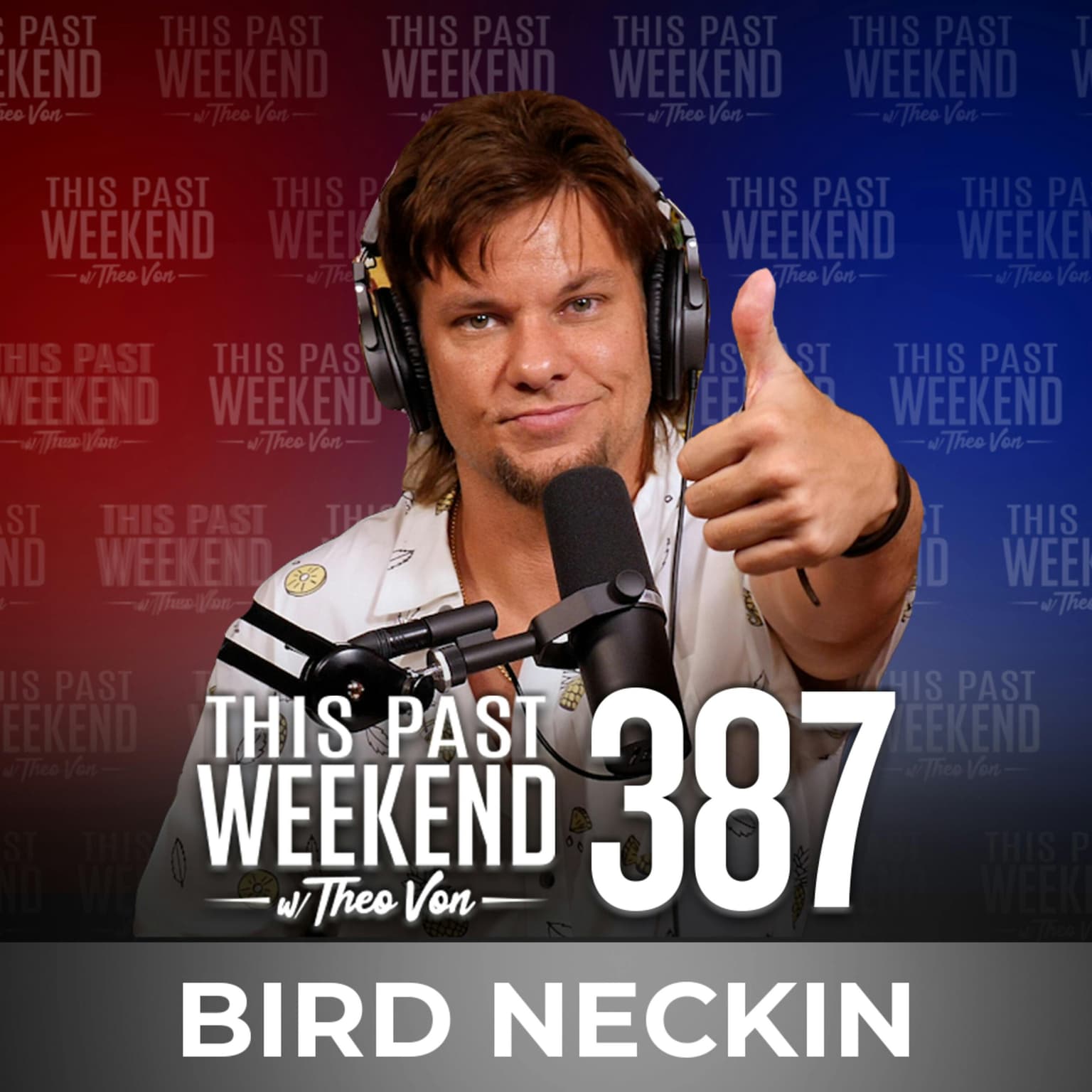 E387 Bird Neckin artwork