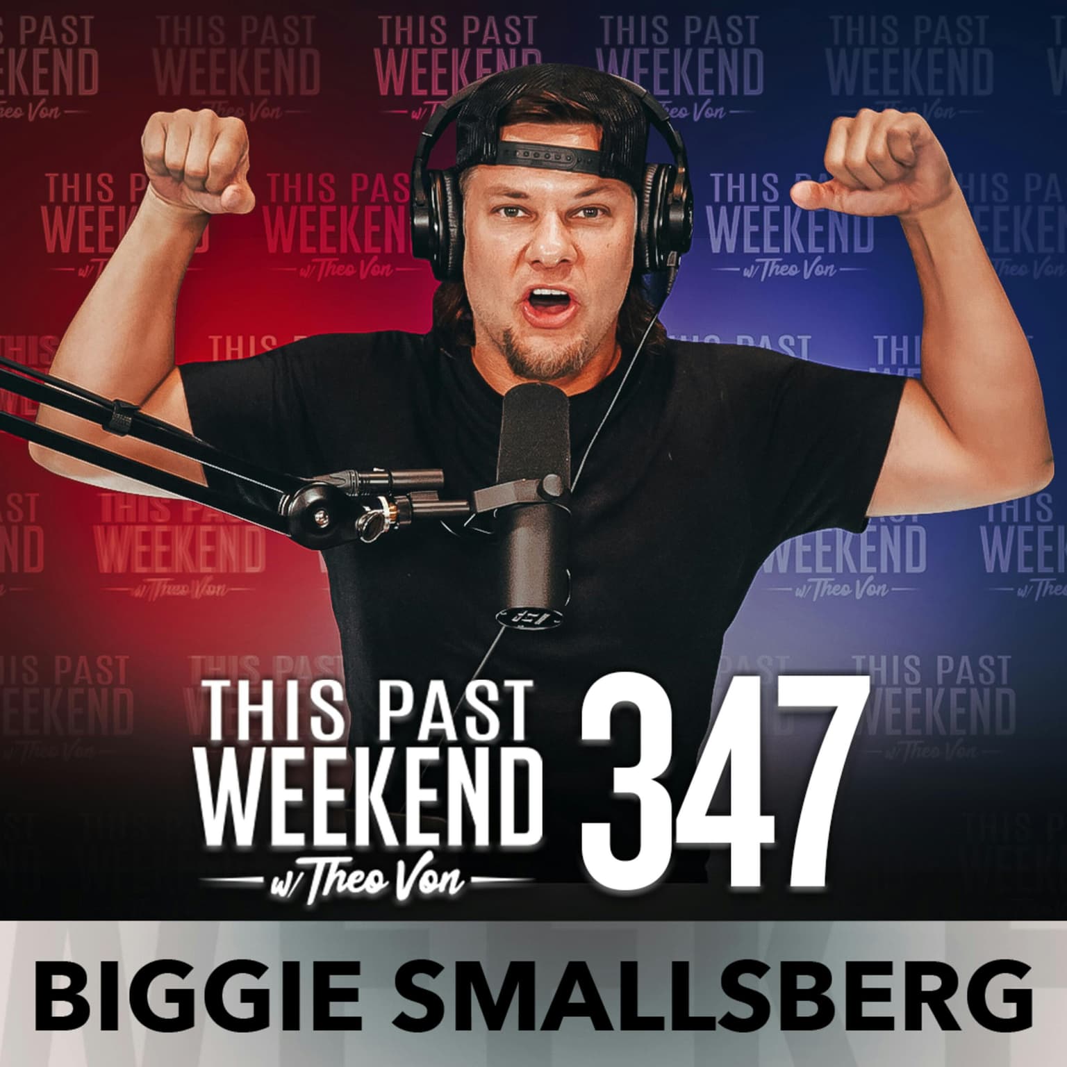 E347 Biggie Smallsberg artwork