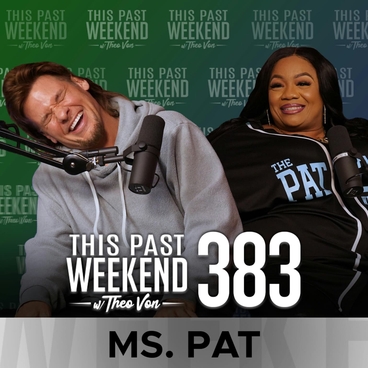 E383 Ms. Pat artwork