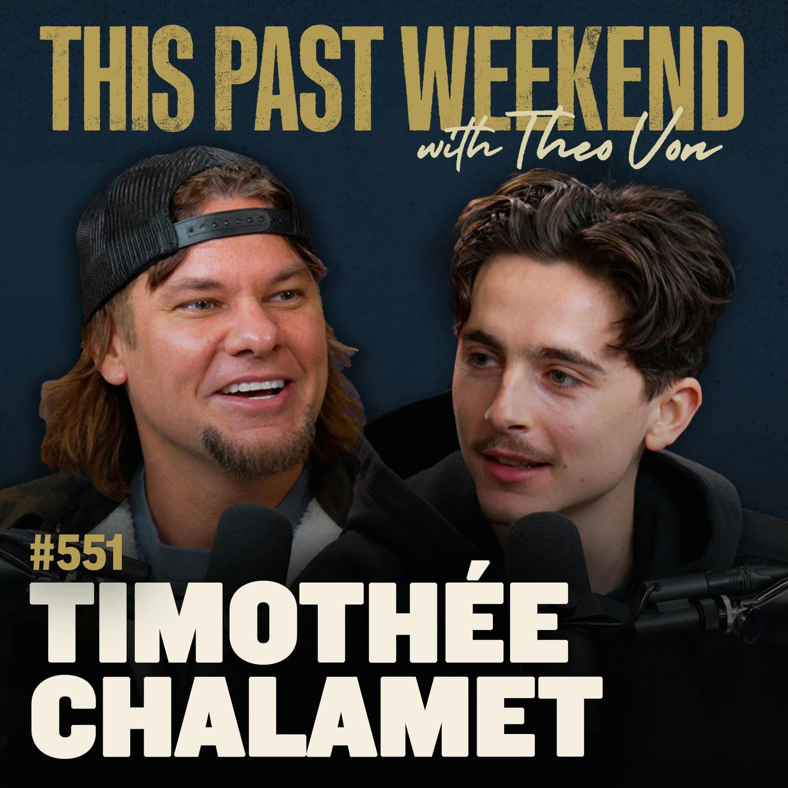 E551 Timothée Chalamet artwork