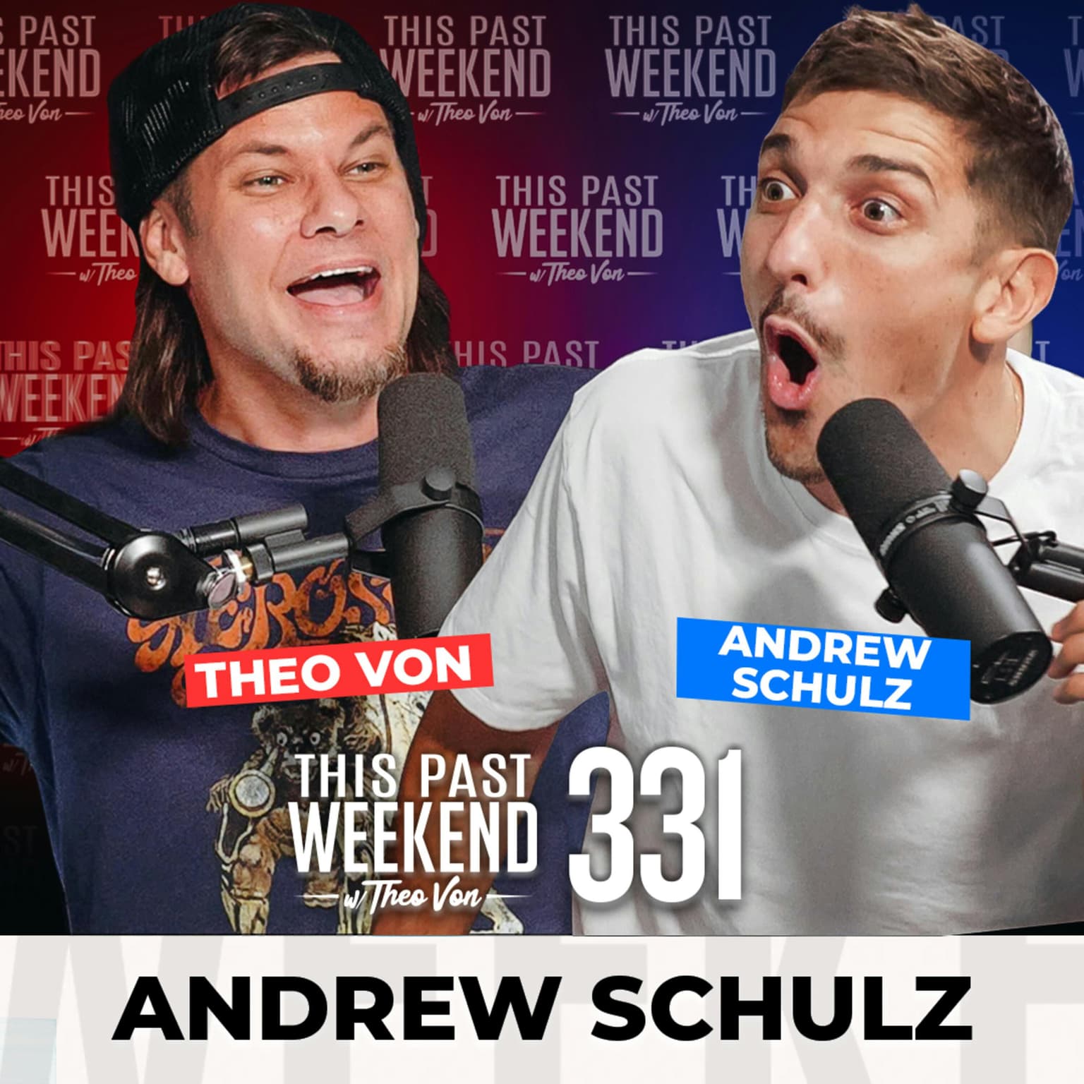 E331 Andrew Schulz artwork