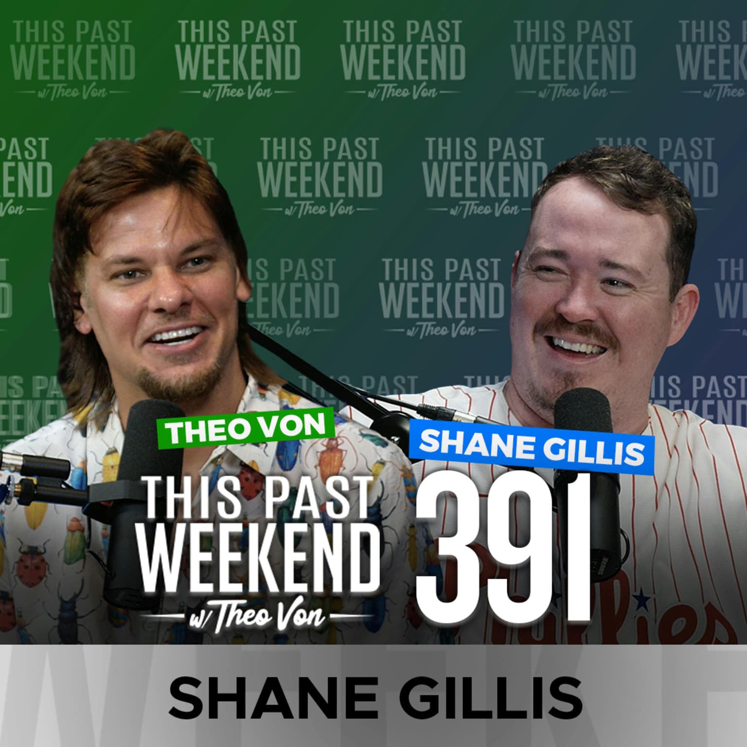 E391 Shane Gillis artwork