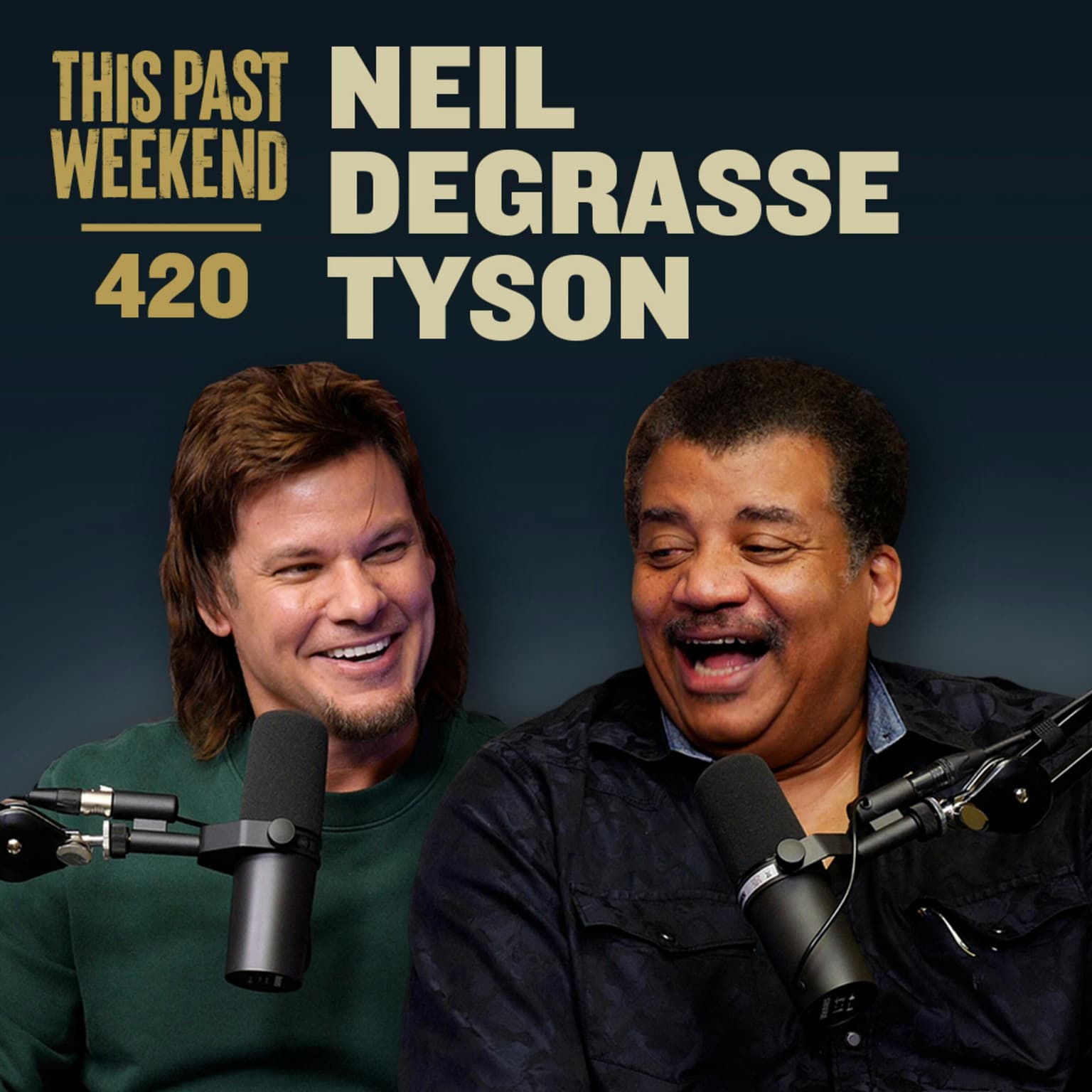 E420 Neil deGrasse Tyson artwork