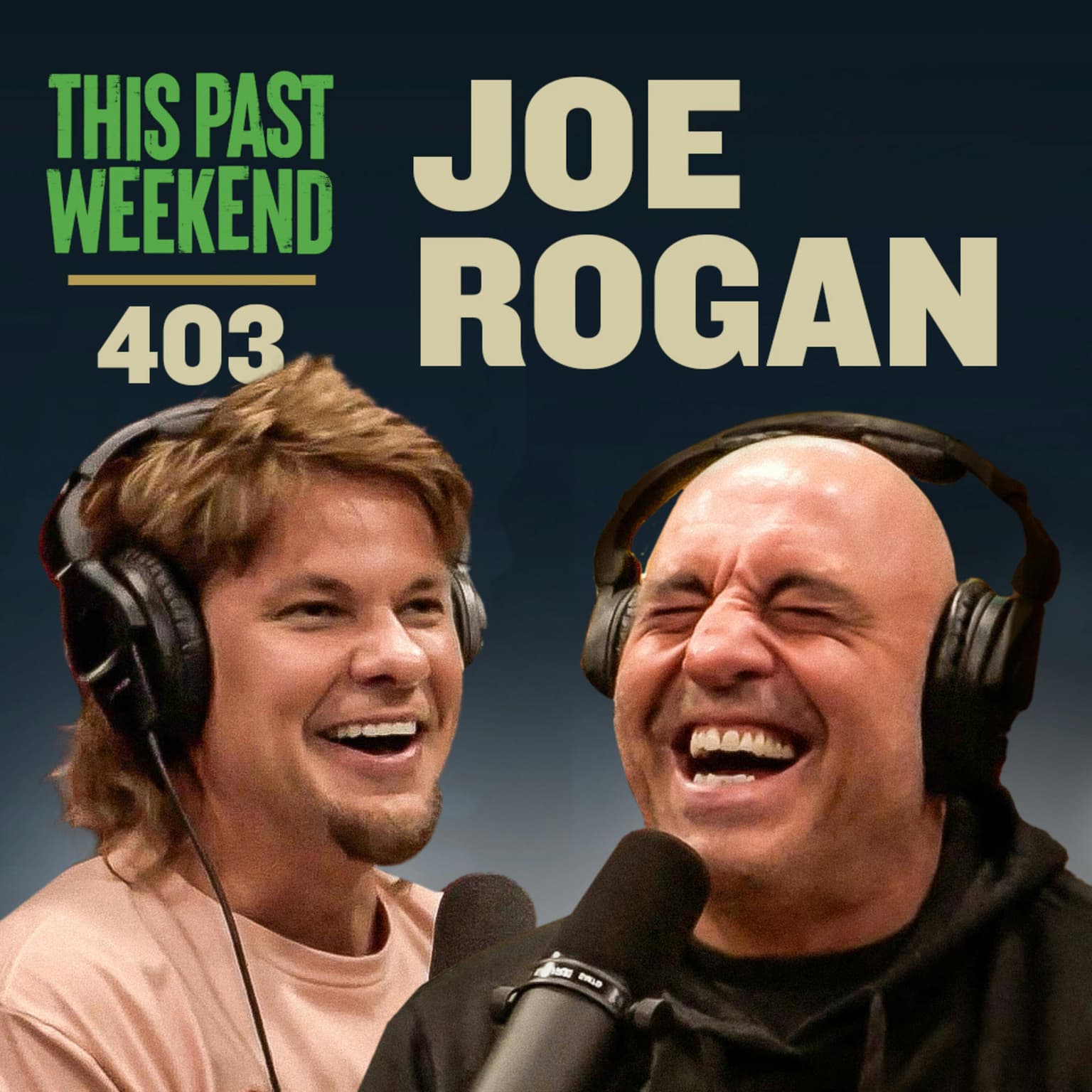 E403 Joe Rogan artwork