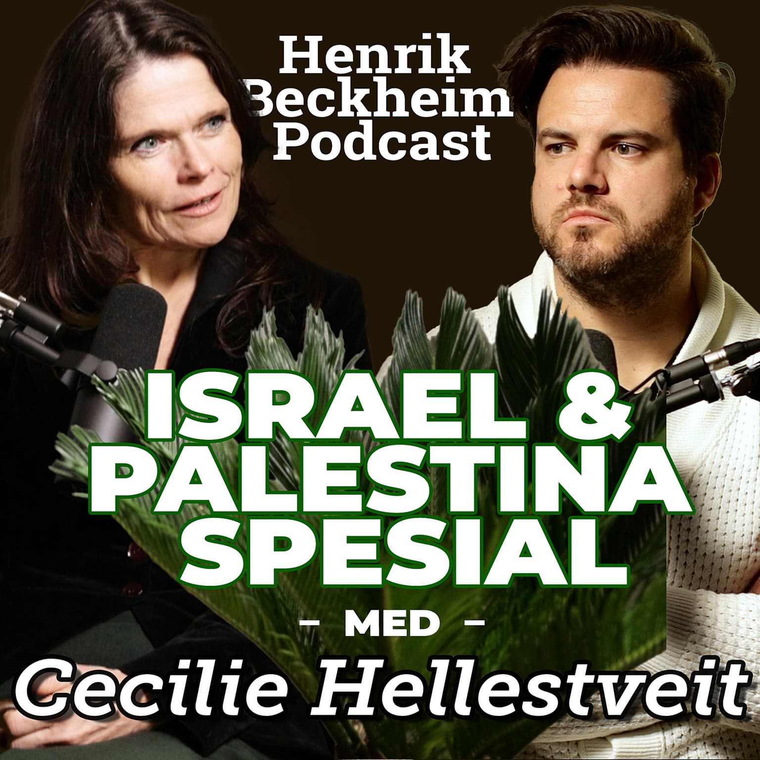 Cecilie Hellestveit, Israel & Palestina Spesial: Hamas, Hizbollah, Iran, Russland, Egypt, Tyrkia, Syria. Hva skjer videre nå? Ep. 30. artwork