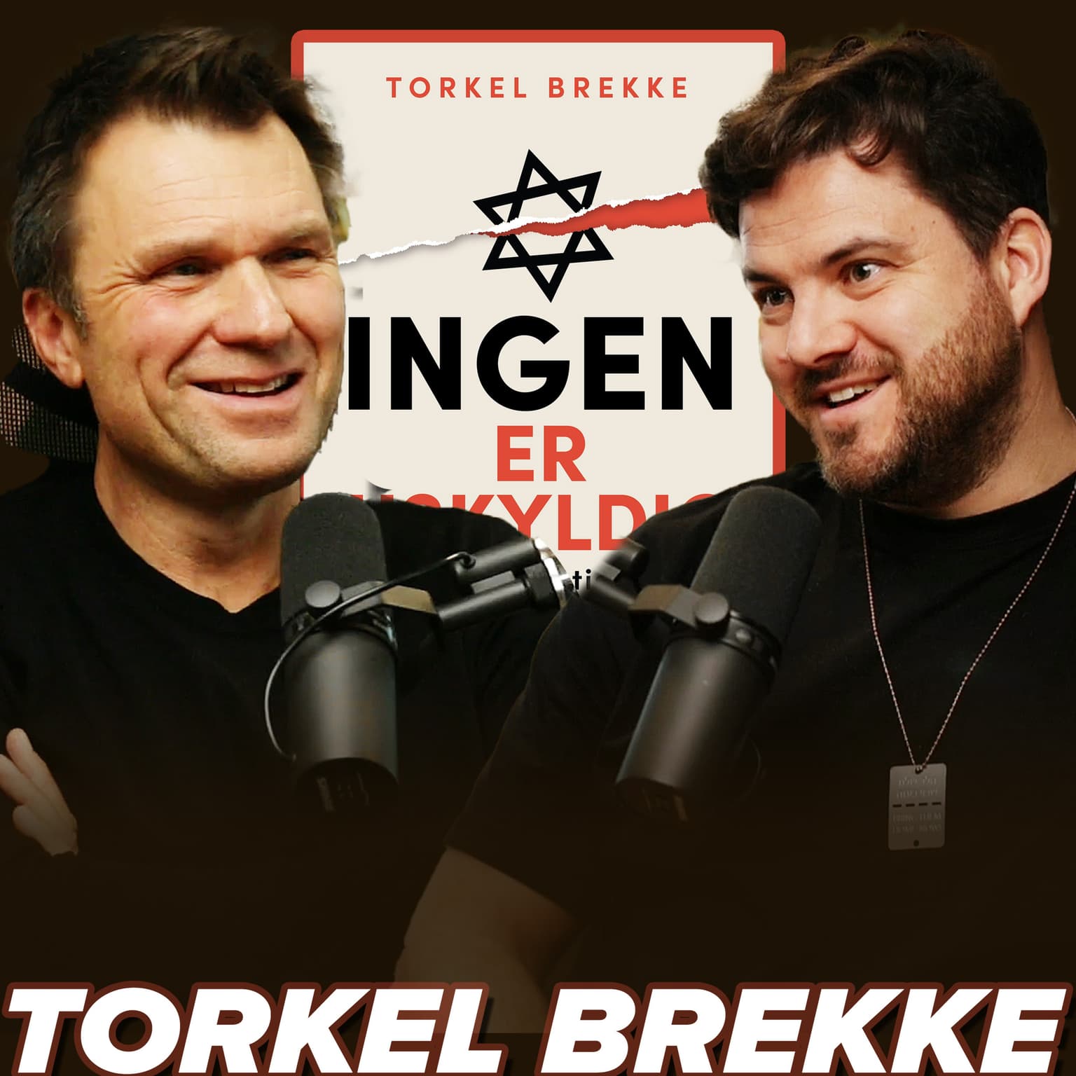 Torkel Brekke – Bindingene mellom LO og Arbeiderpartiet, Antisemittismen på venstresiden og utviklingen i Norge, artwork