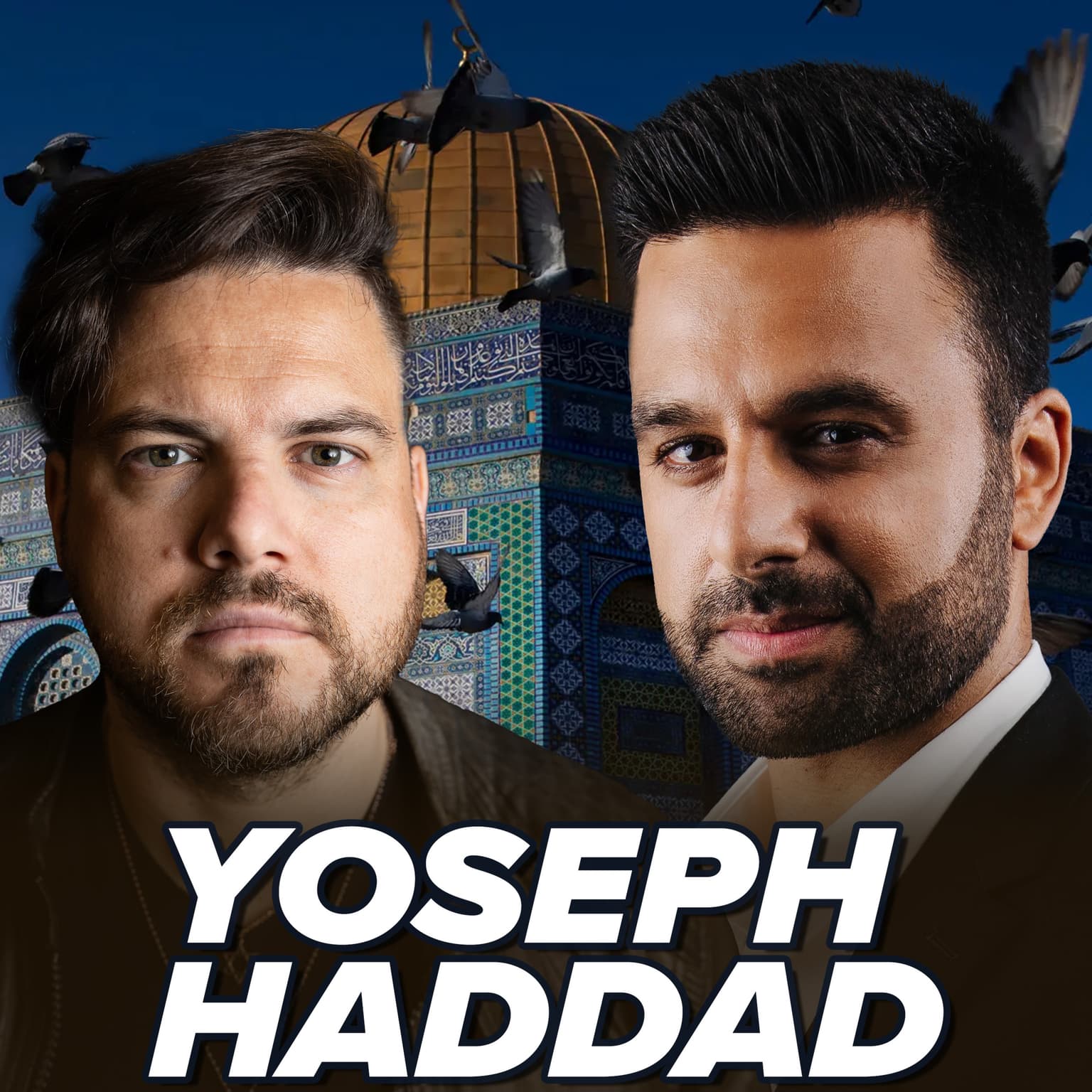 Yoseph Haddad – Israel is not an apartheid state. artwork
