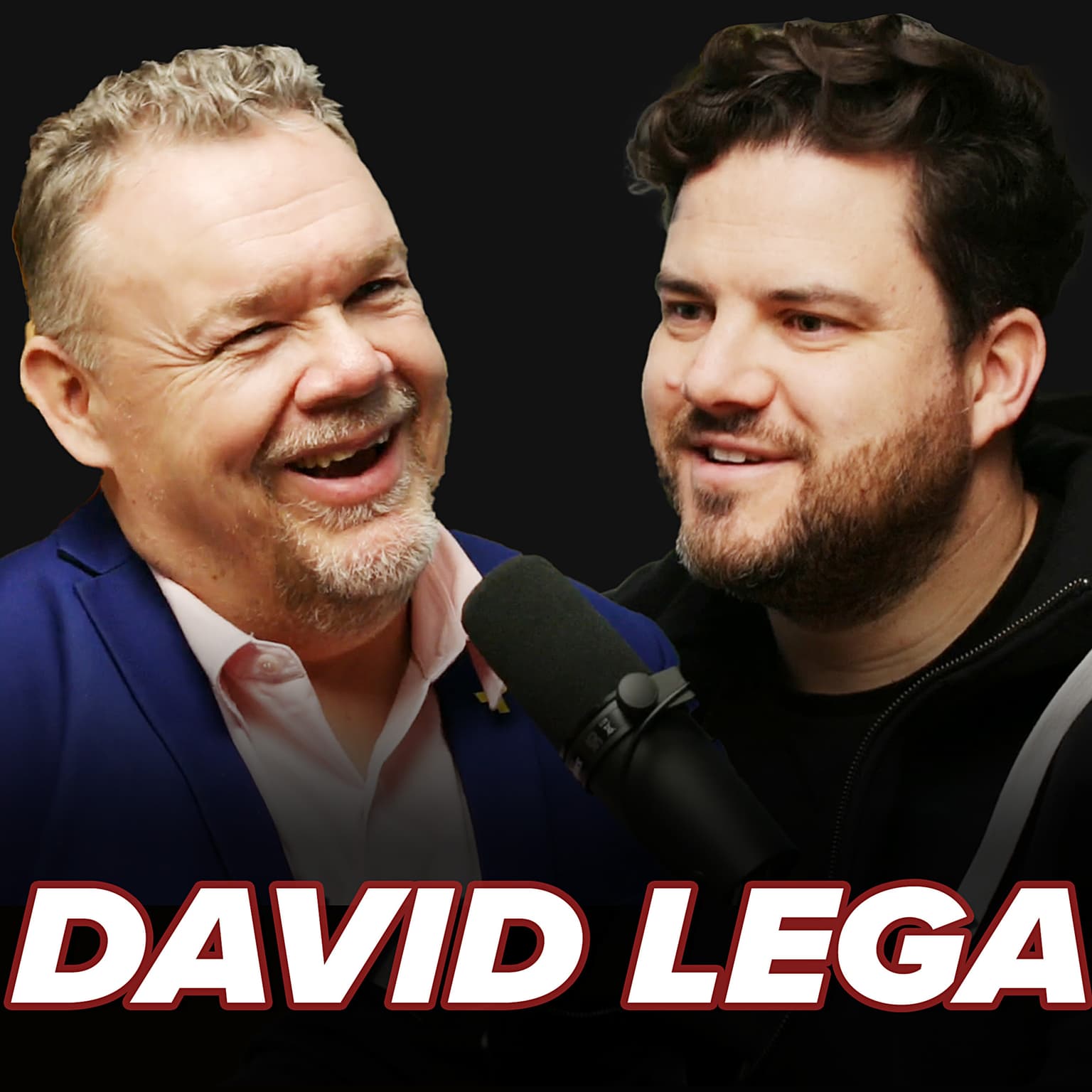 David Lega – Israel, Palestinians, UNRWA, Antisemitism and the road ahead artwork