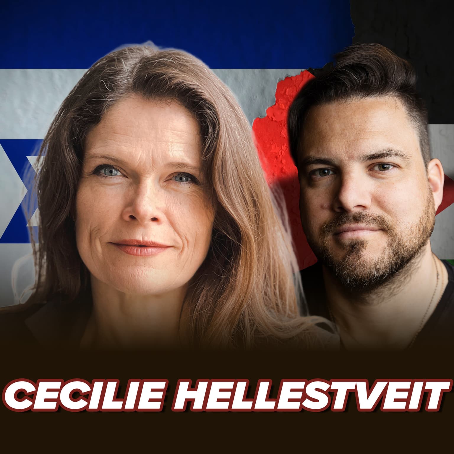 Cecilie Hellestveit – Stormen, Folkemord og Israel artwork