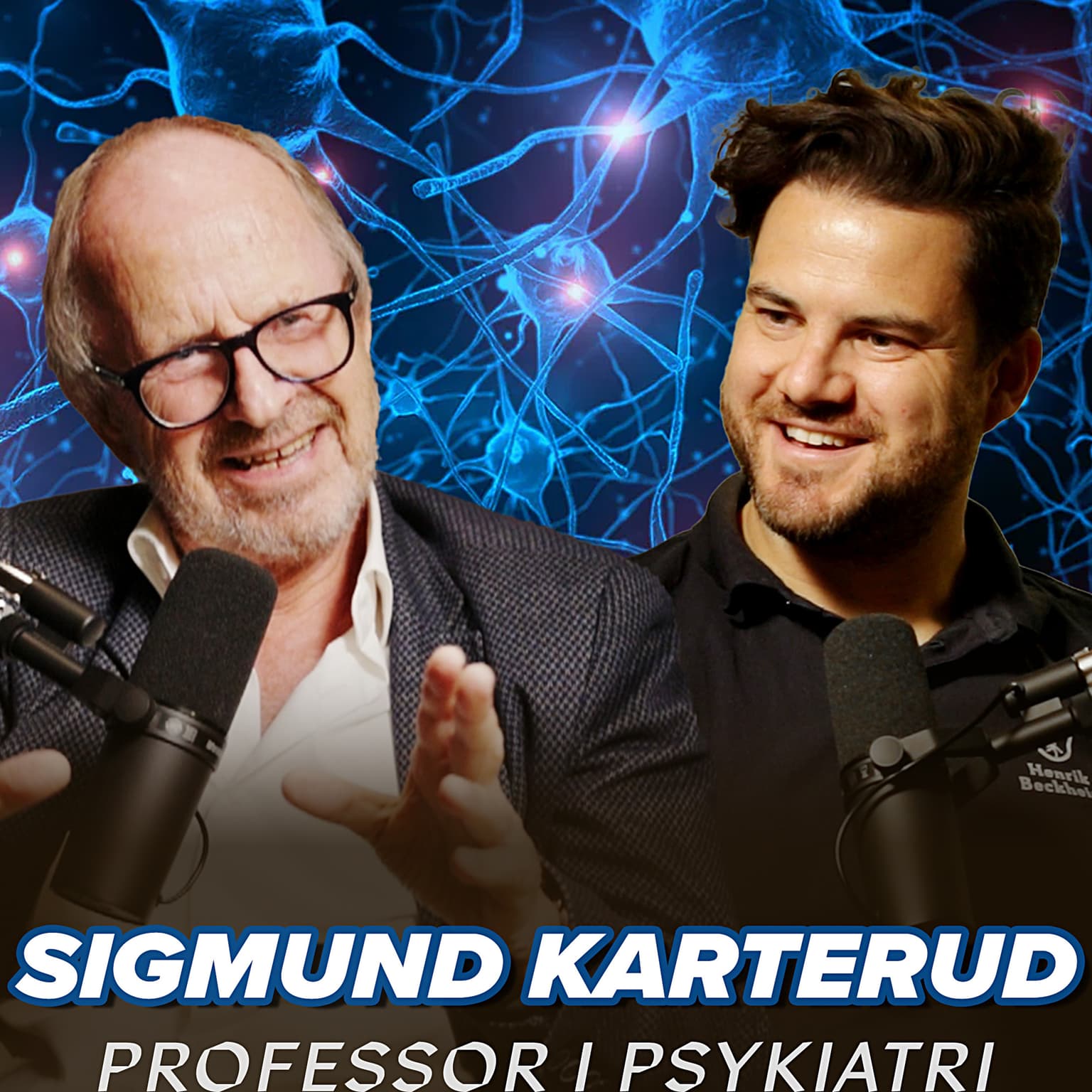 Sigmund Karterud – Personlighetsforstyrrelser, borderline, psykopati, selvfølelse og overmedisning. artwork