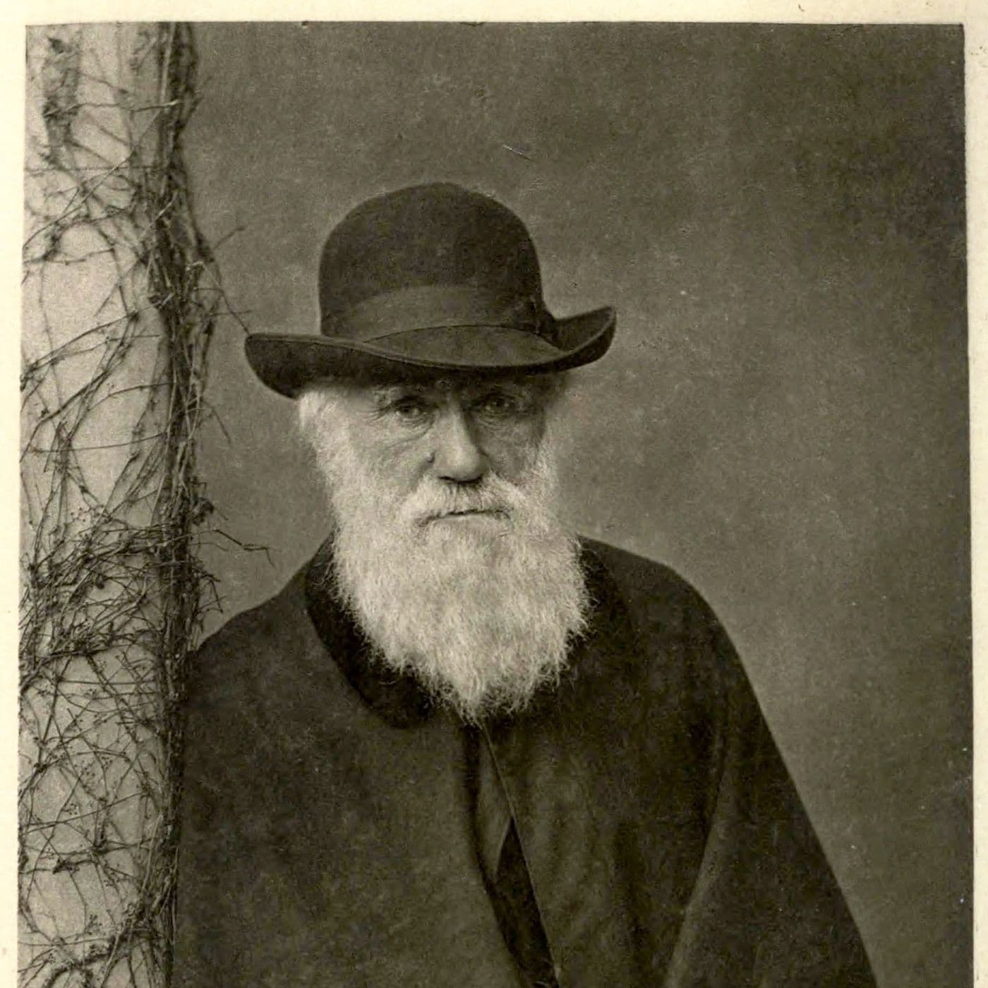 S13E8 Charles Darwin: Den store erkendelse artwork