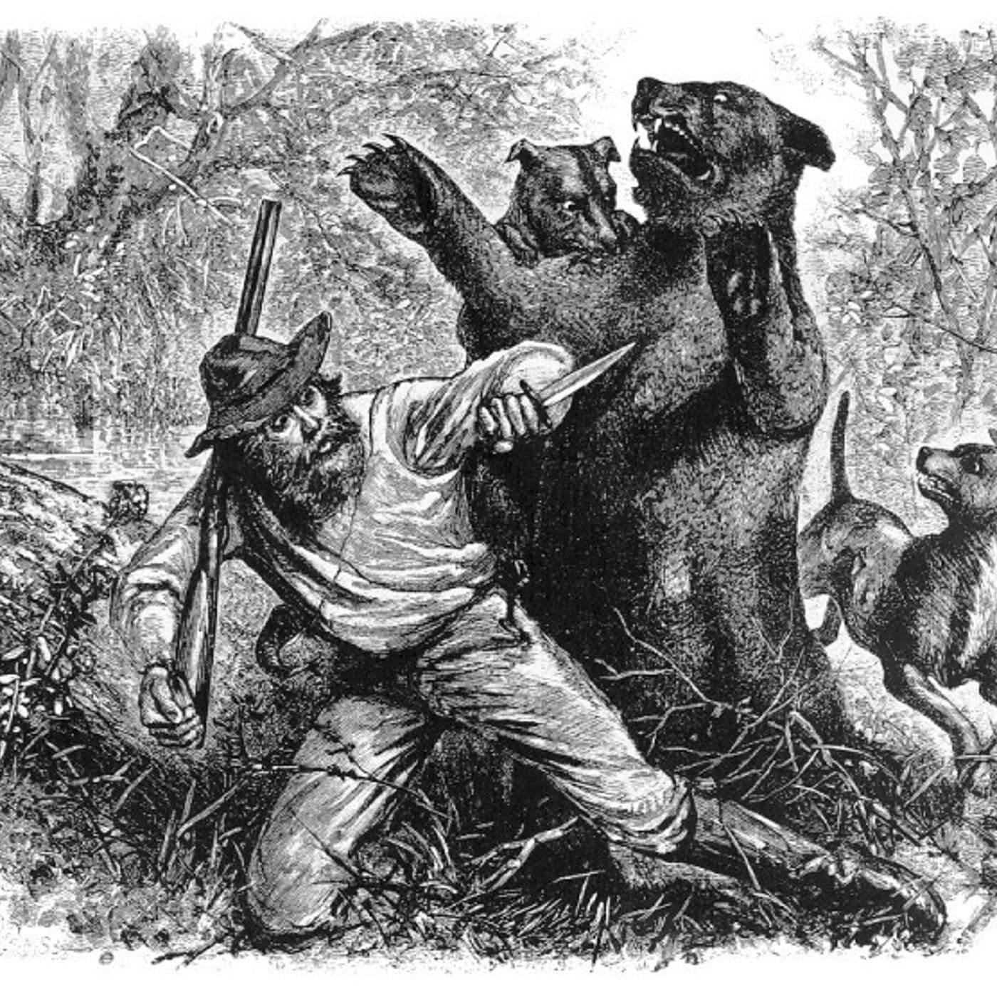 S6E1. Hugh Glass: Pirater, indianere og delvist spist af bjørn artwork