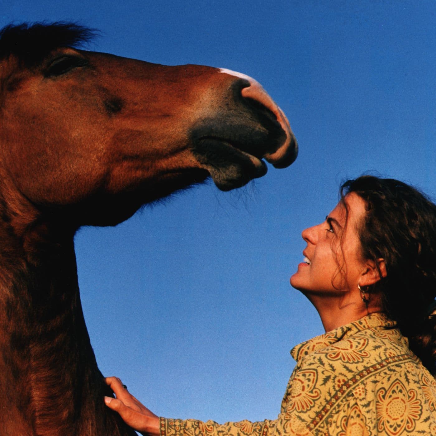 S2E7. Lene Rishede Hansen: På hest fra Mongoliet til Danmark artwork