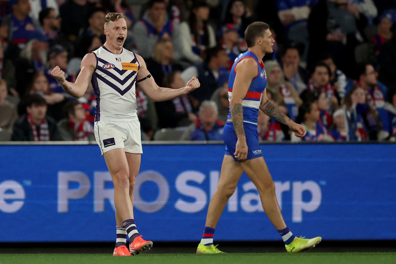 Dogs sweat on Wednesday's result and 'sloppy' Hawks artwork