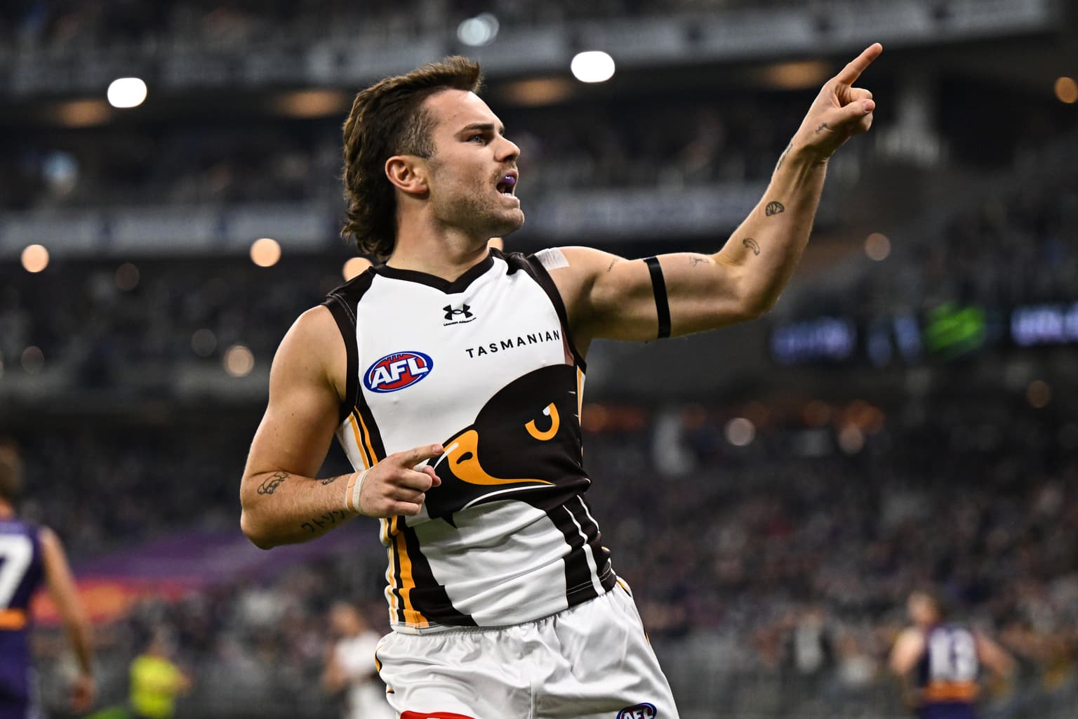 Pickett Pocket vs Wizard Bay, Pies aren't contending and Crows false narrative artwork