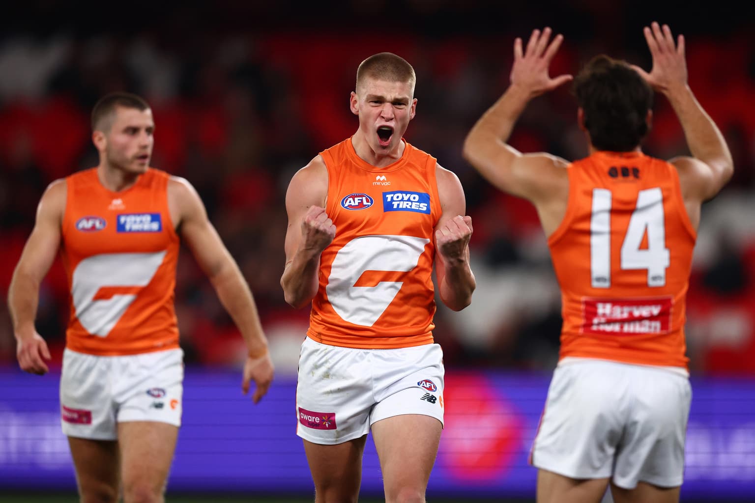 Experience prevails as GWS demolish young Dons artwork