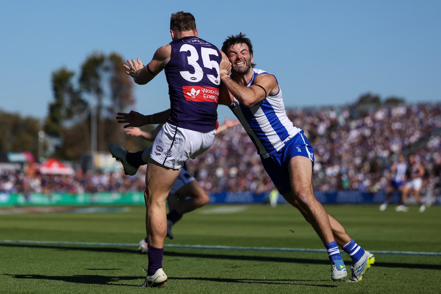 North Melb have "done less than nothing" and Magpies circle Neale and King artwork