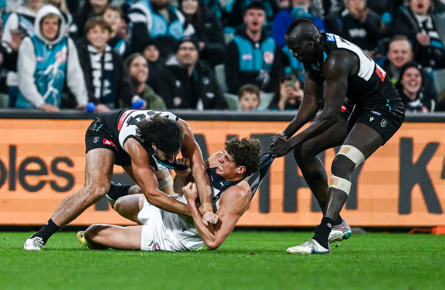 Power short-circuits Carlton’s season artwork