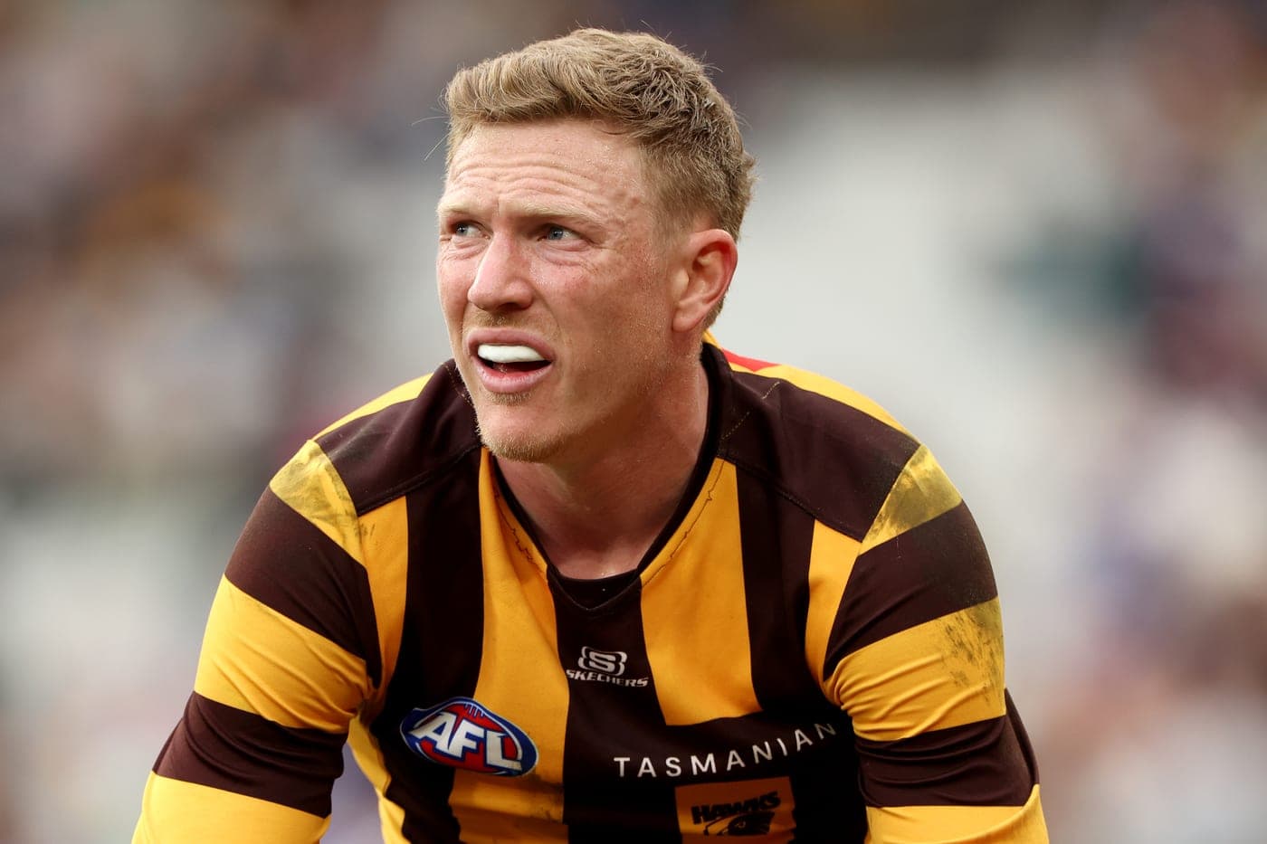 Sicily's sore point and what might Tom Harley bring to the AFL table? artwork