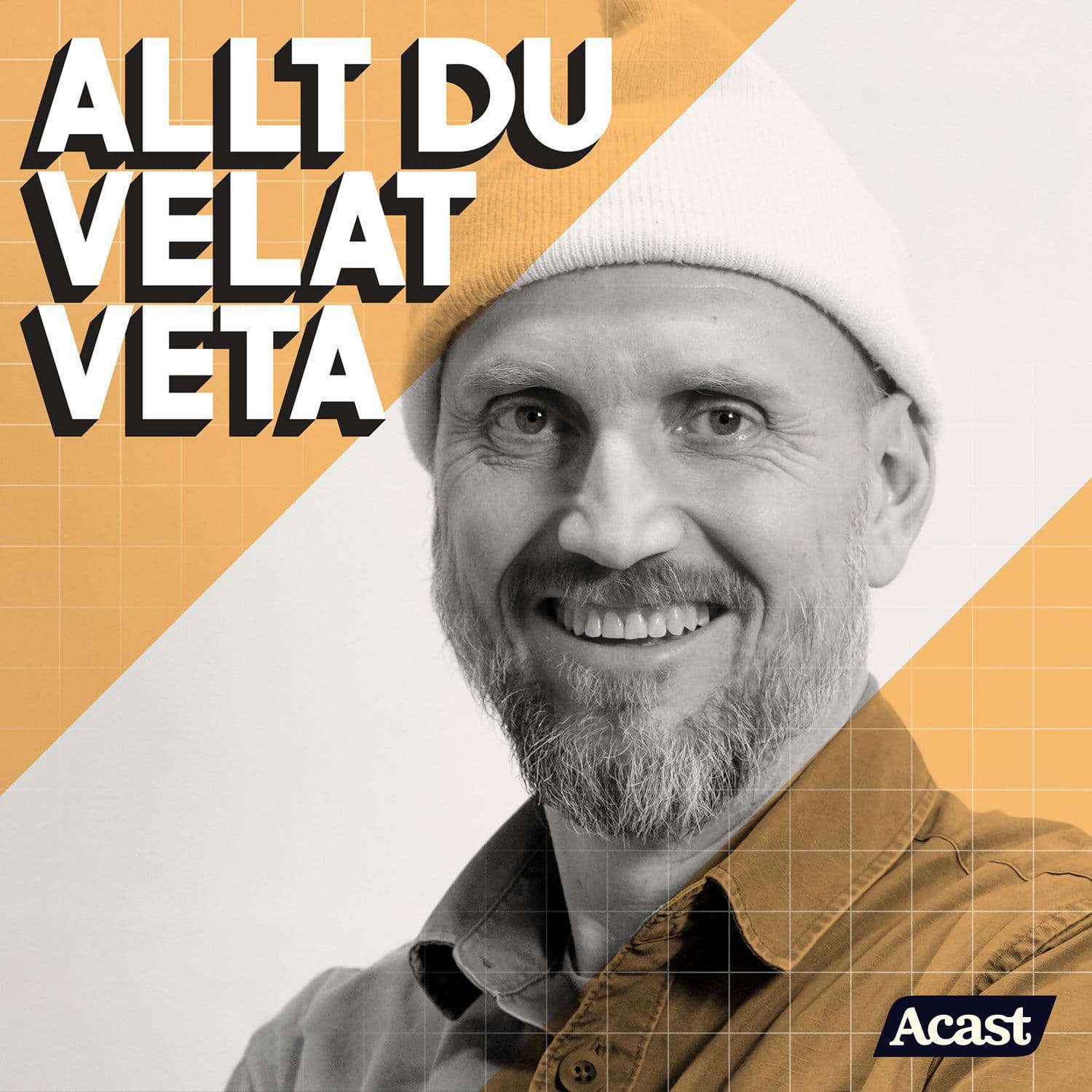 Allt du velat veta cover art