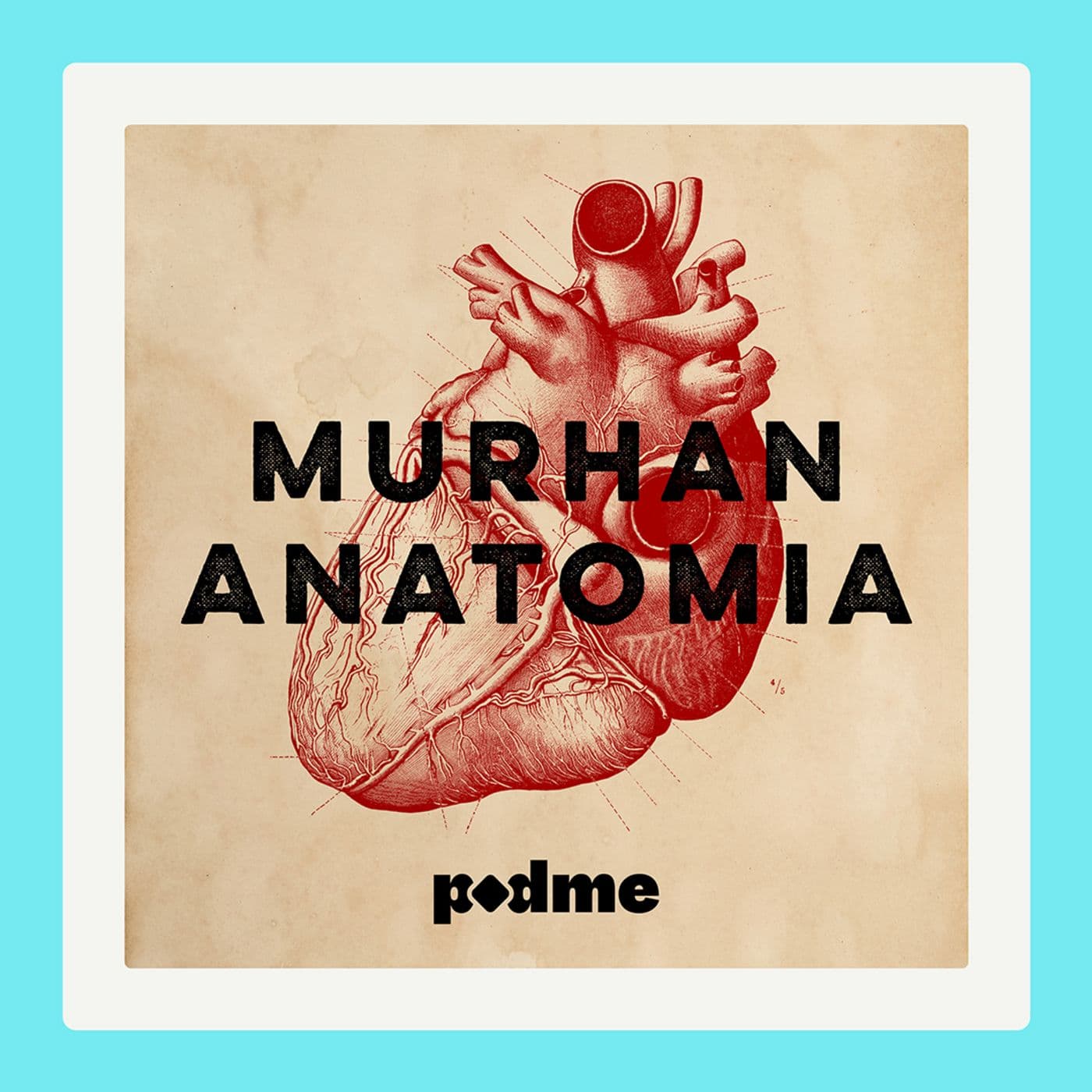 Murhan anatomia cover art