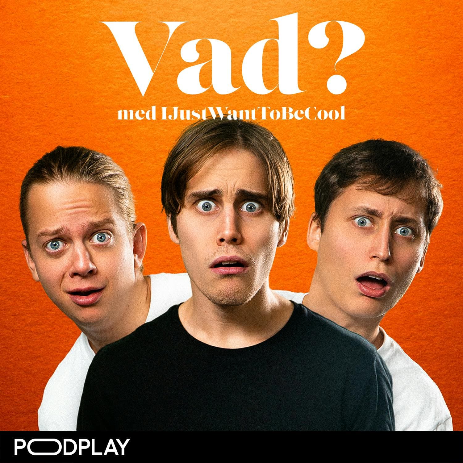 Vad? med IJustWantToBeCool cover art