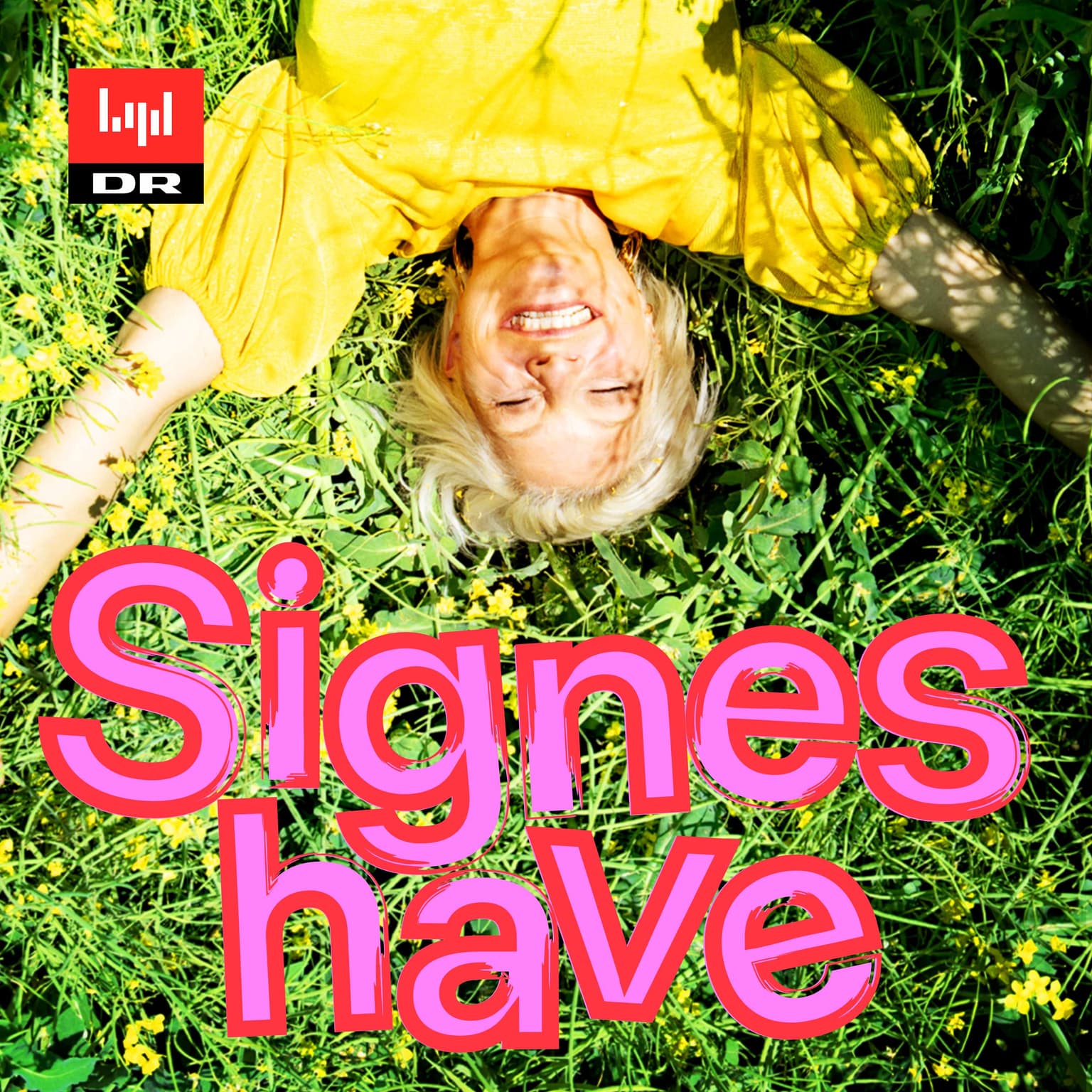 Signes have cover art