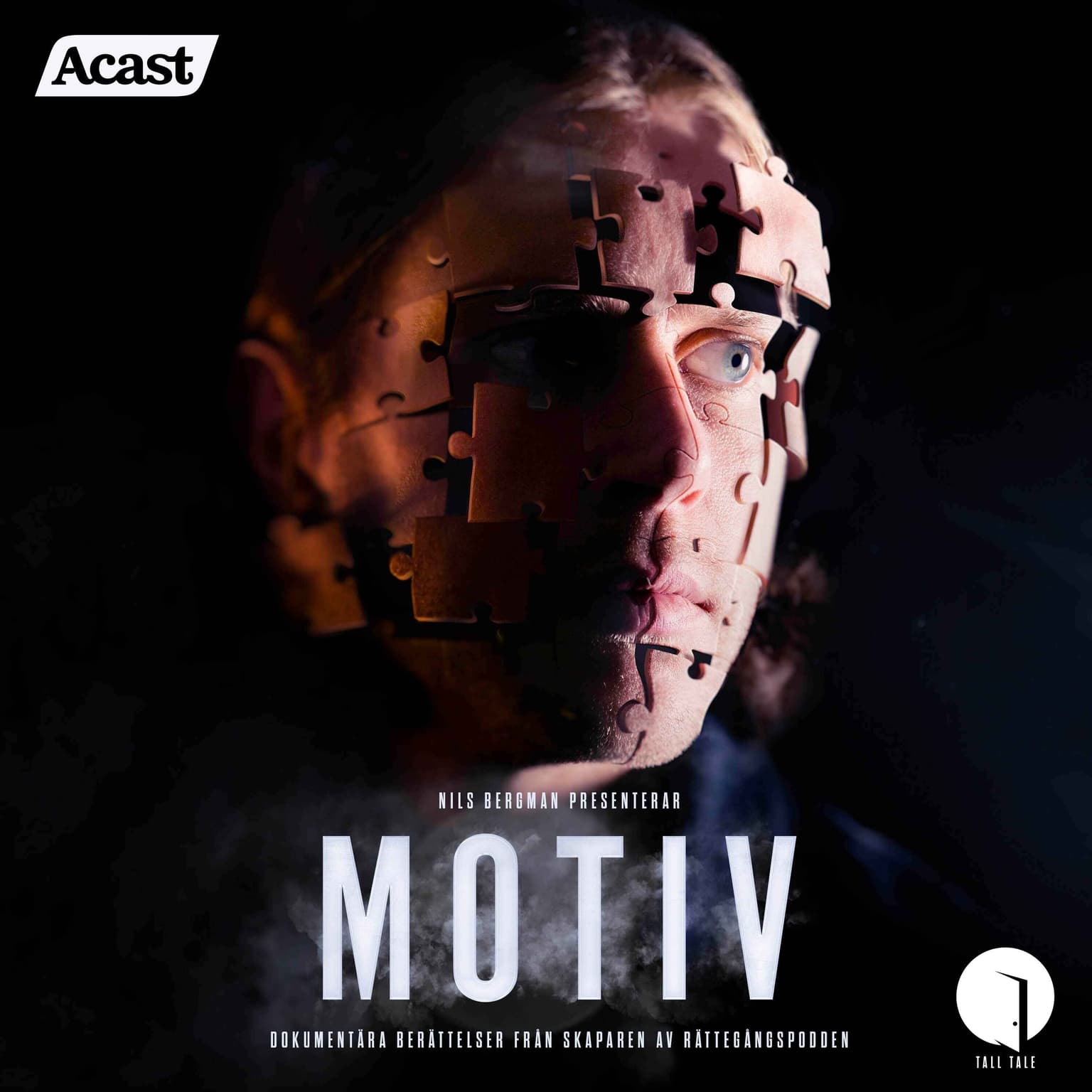 Motiv cover art