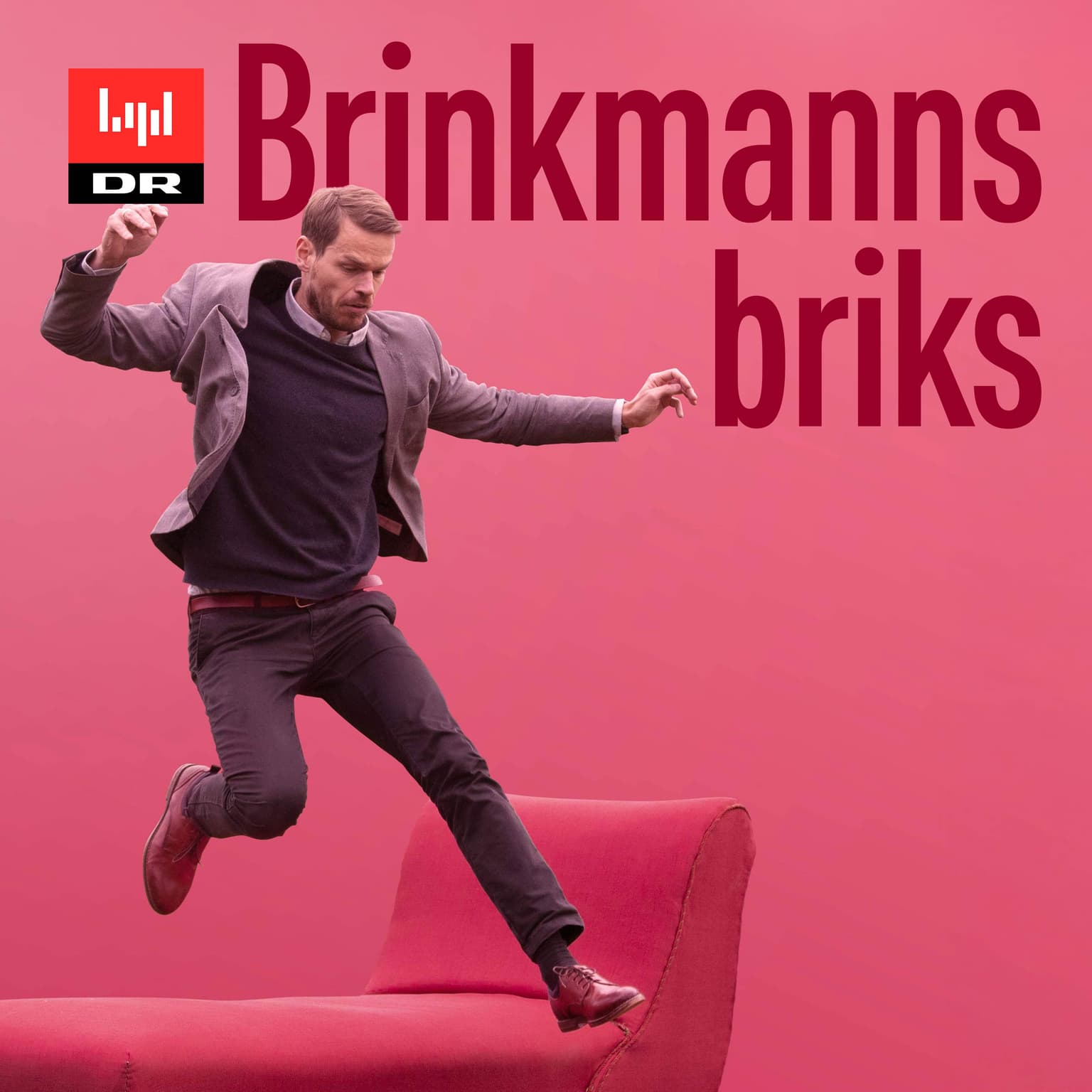 Brinkmanns briks cover art