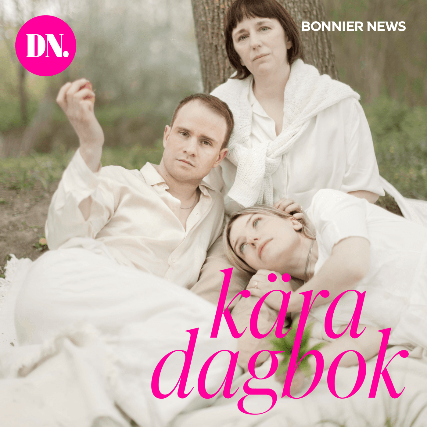Kära dagbok cover art