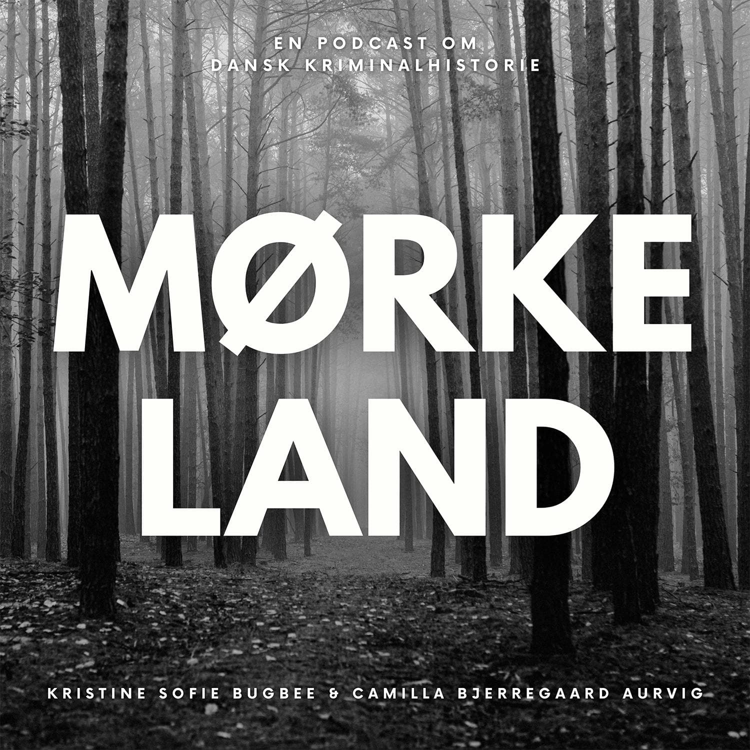 Episode 321: Fanget i rasende oprør og mysterie på møntvaskeri artwork