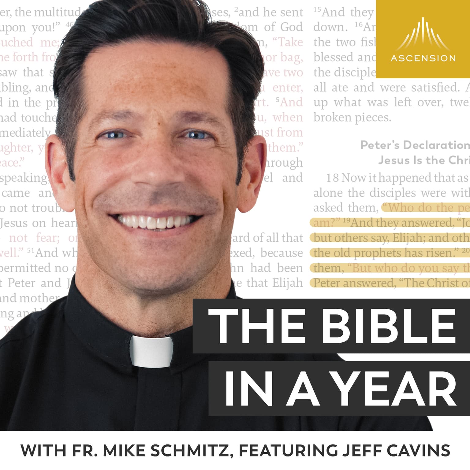 The Bible in a Year (with Fr. Mike Schmitz) cover art