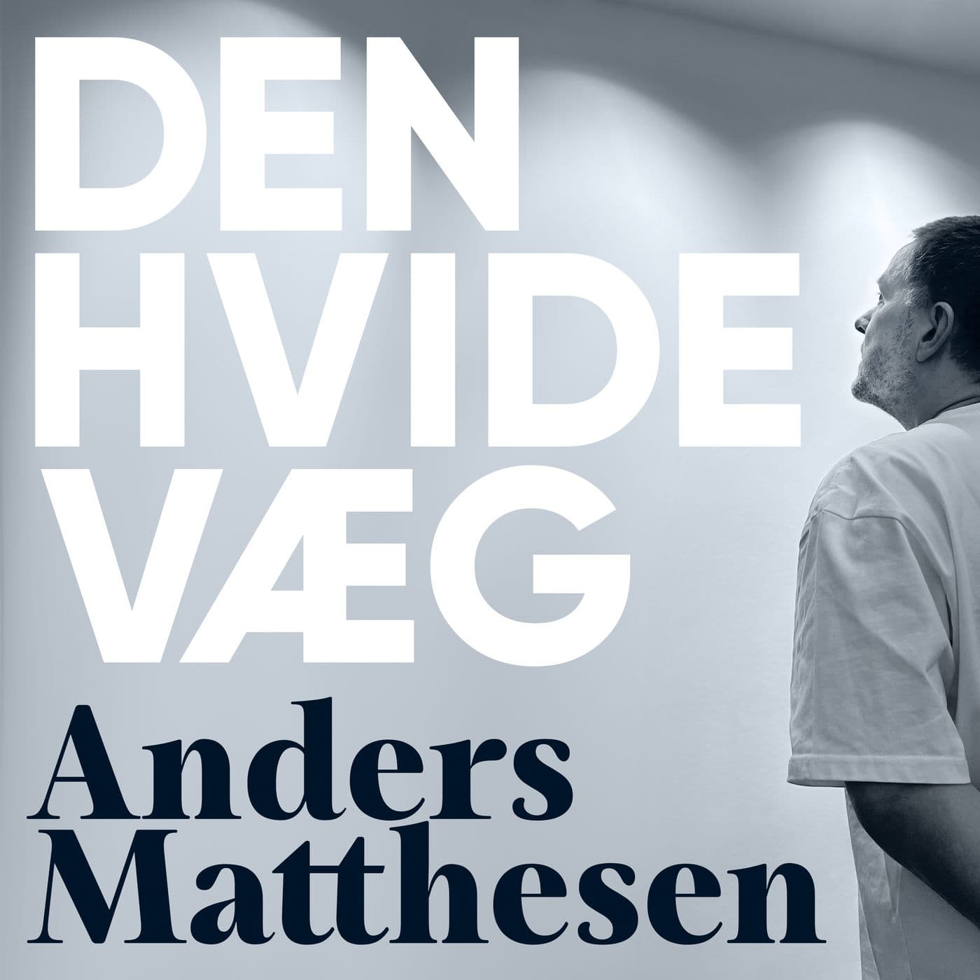 Den Hvide Væg cover art