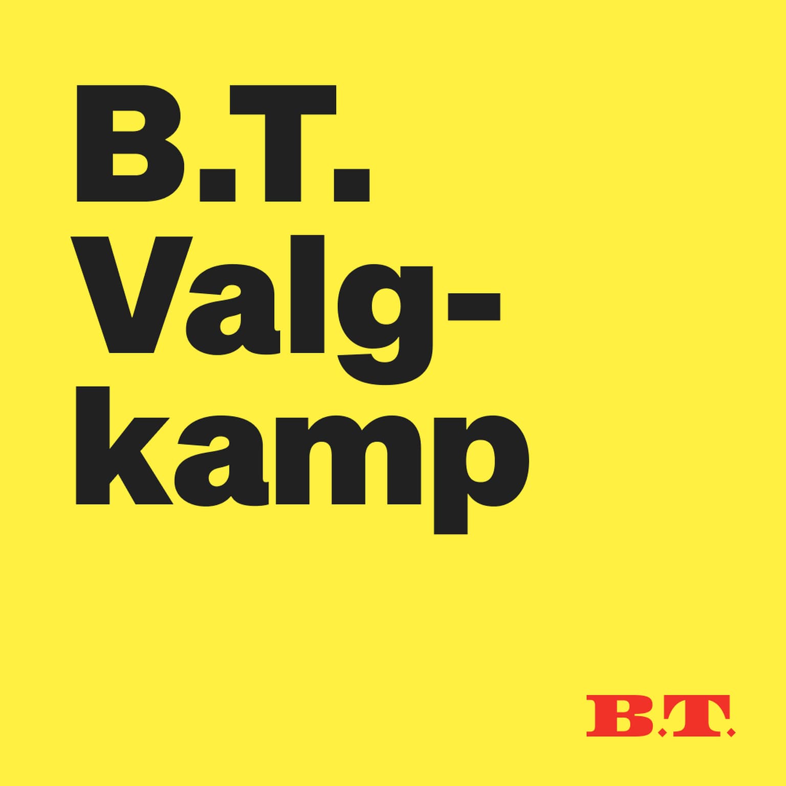 B.T. Valgkamp cover art