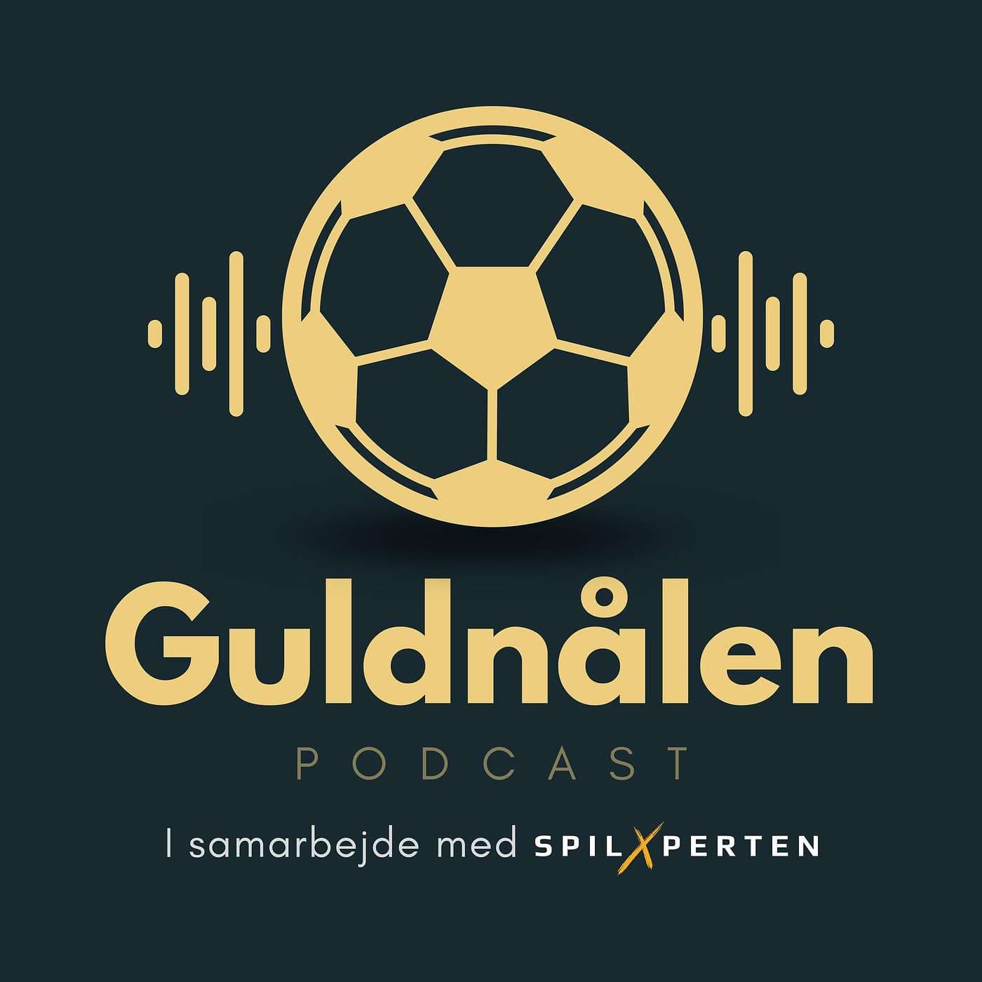 #269: Runde 1 - VM Manager 2026 - Del 1 af 2 - Stor spiloptakt om strategi, kampprogram, målmandsposten og forsvaret artwork