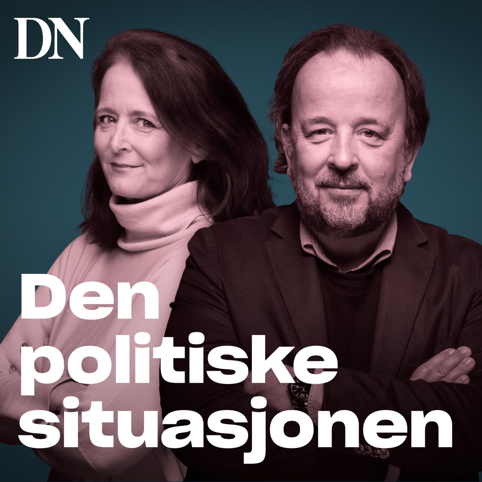 Den politiske situasjonen cover art