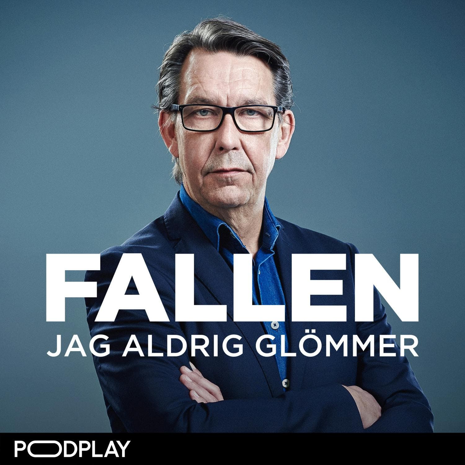 Fallen jag aldrig glömmer cover art