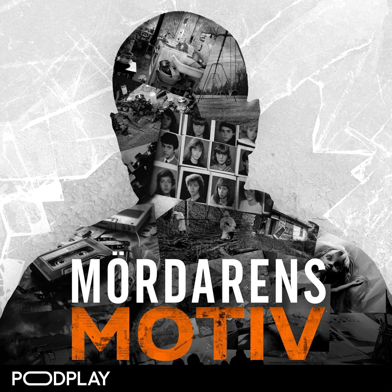 Mördarens Motiv cover art