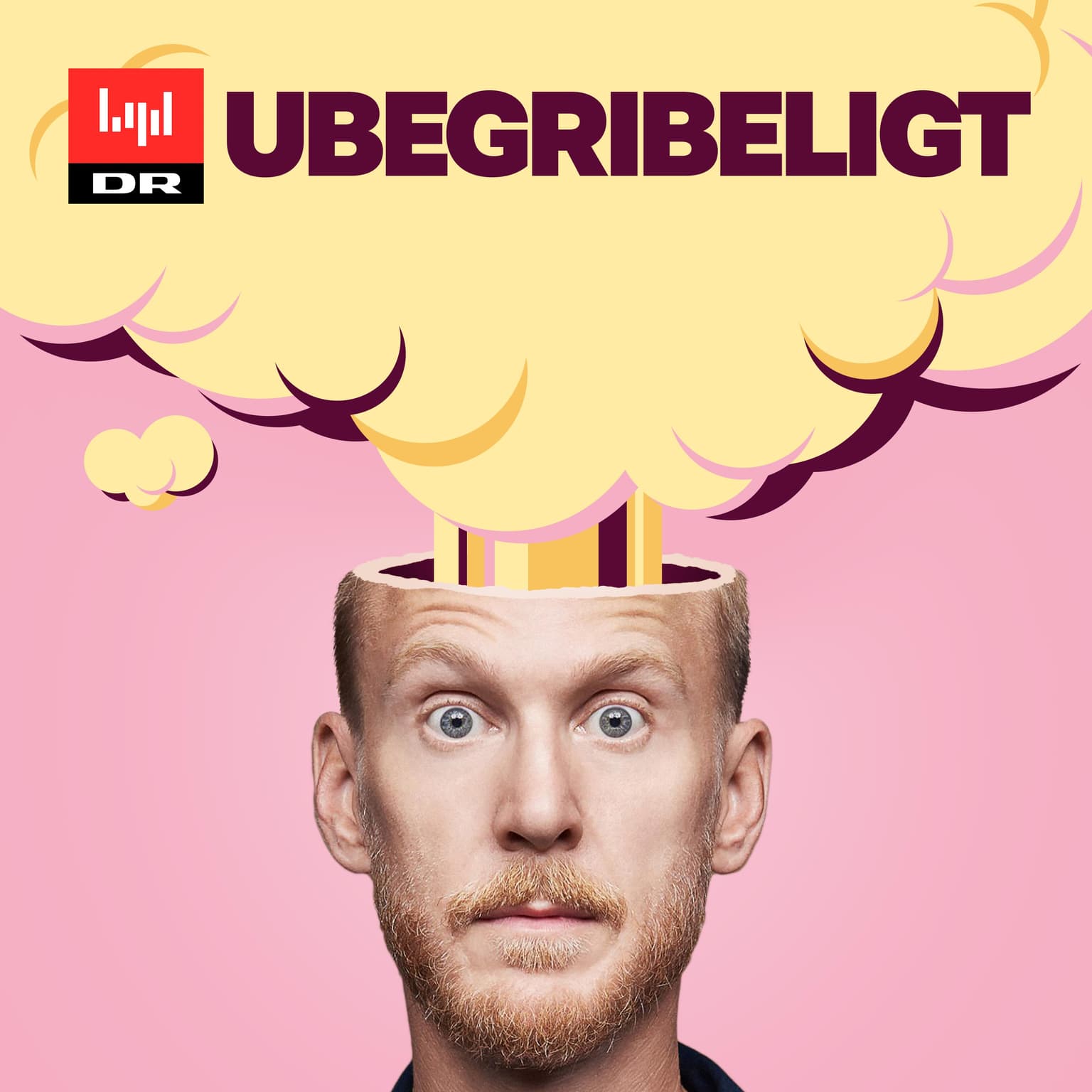 Ubegribeligt cover art