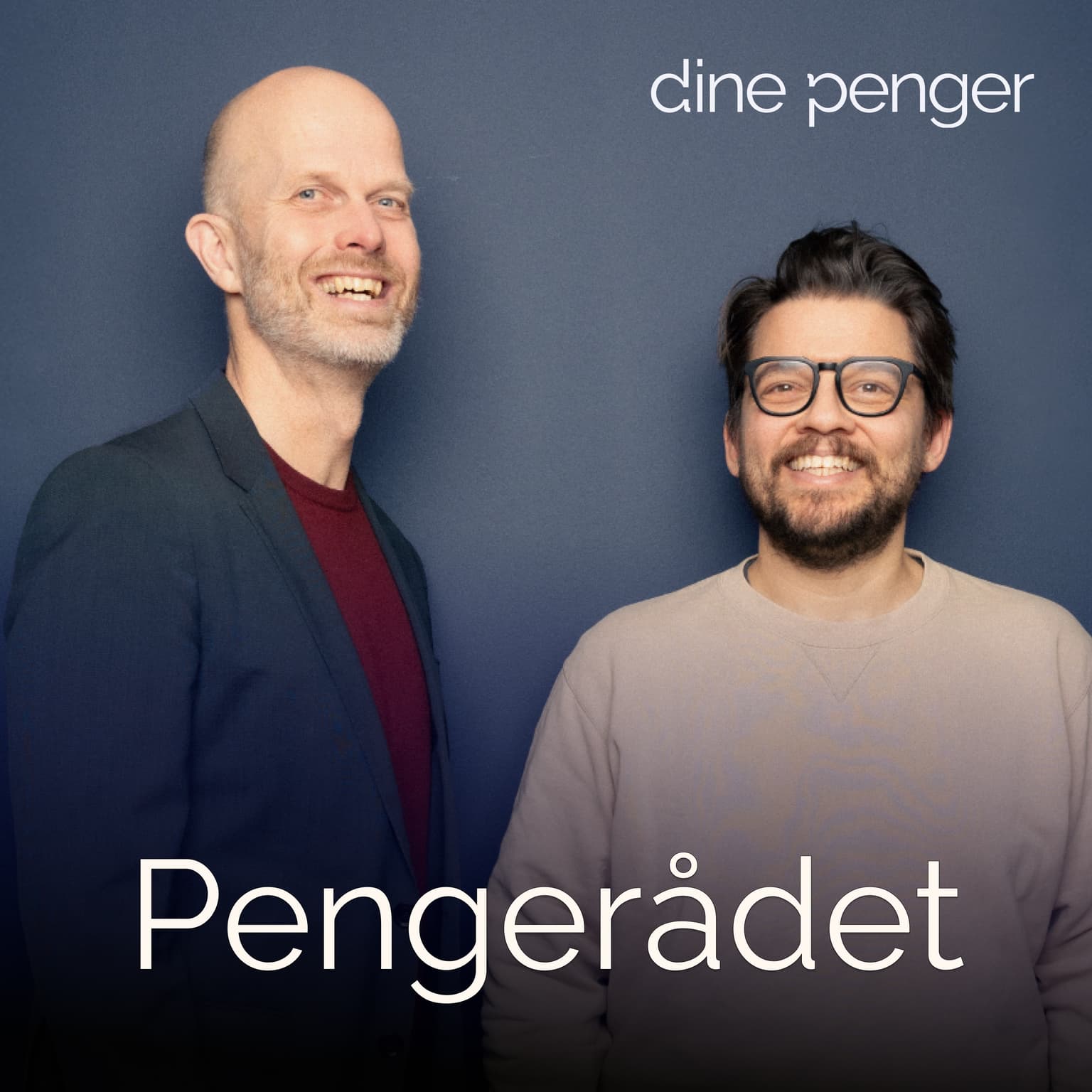 Dine Penger - Pengerådet cover art