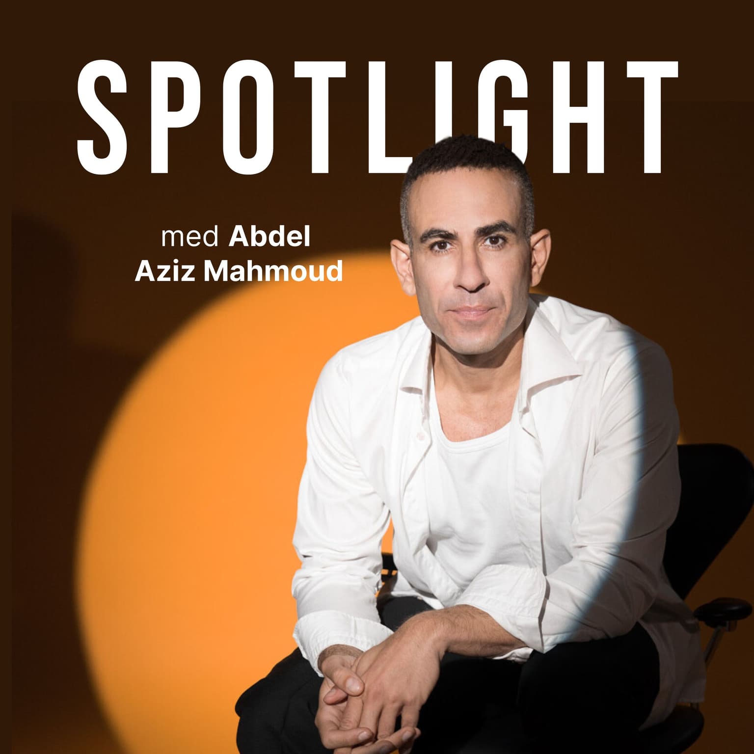 Spotlight - Med Abdel Aziz Mahmoud cover art