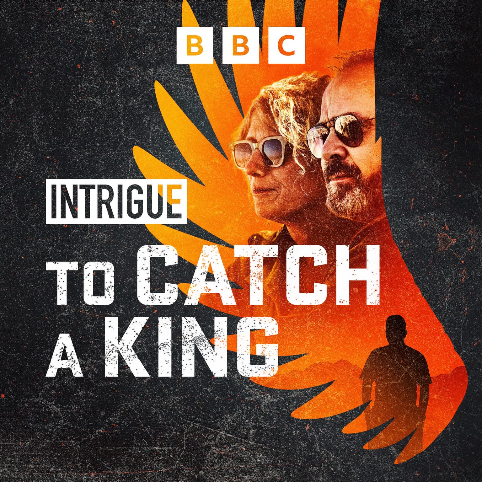 Intrigue cover art