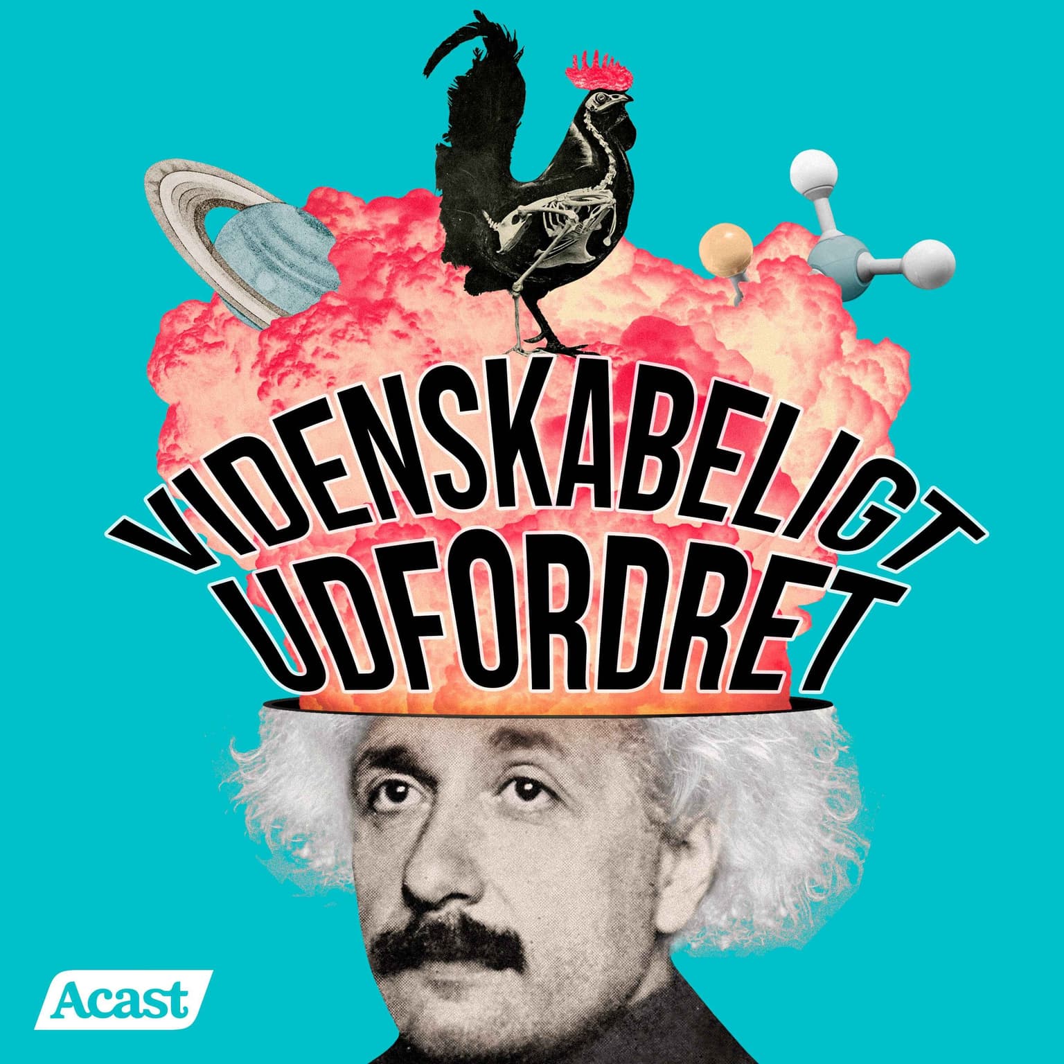 Videnskabeligt Udfordret cover art