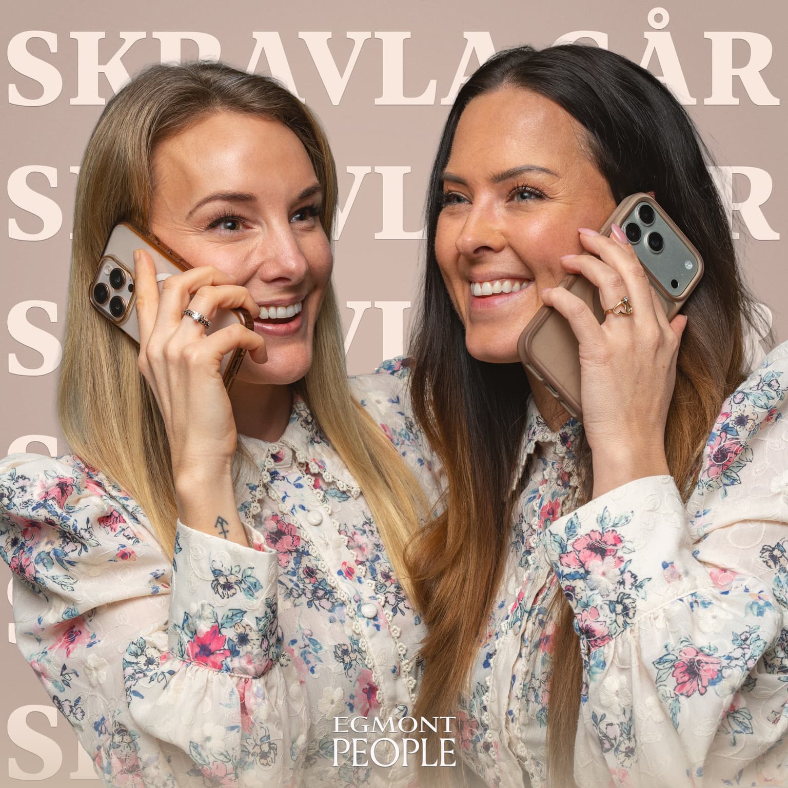 Skravla går cover art